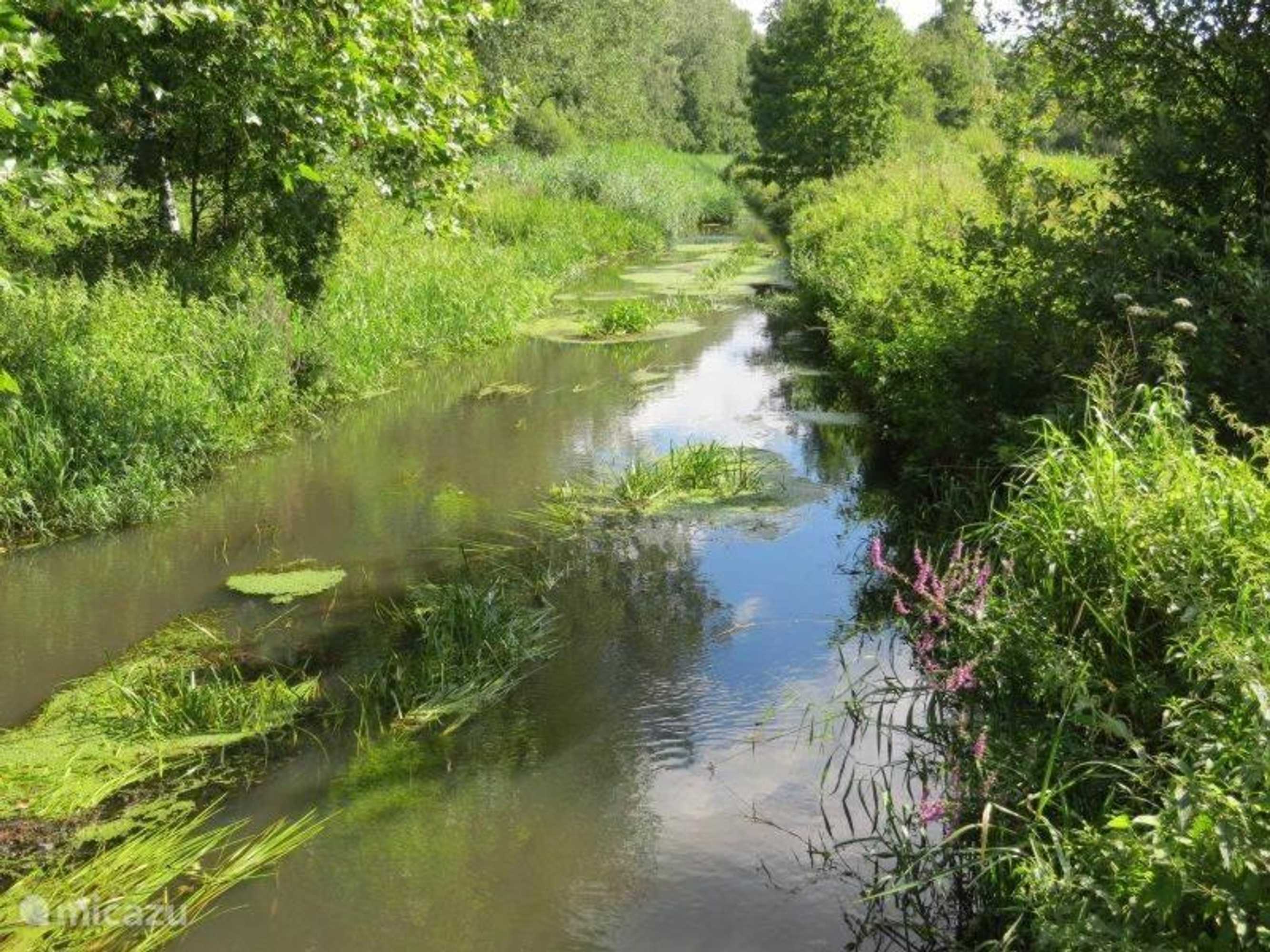 Gift card for Vosseven 32 Geelgors