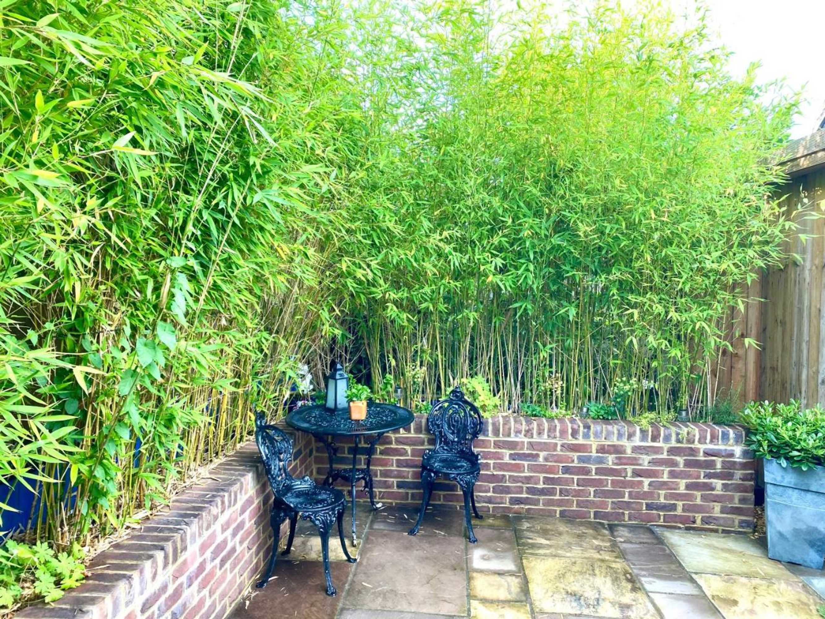 Gift card for Amber Lodge Hickstead-B