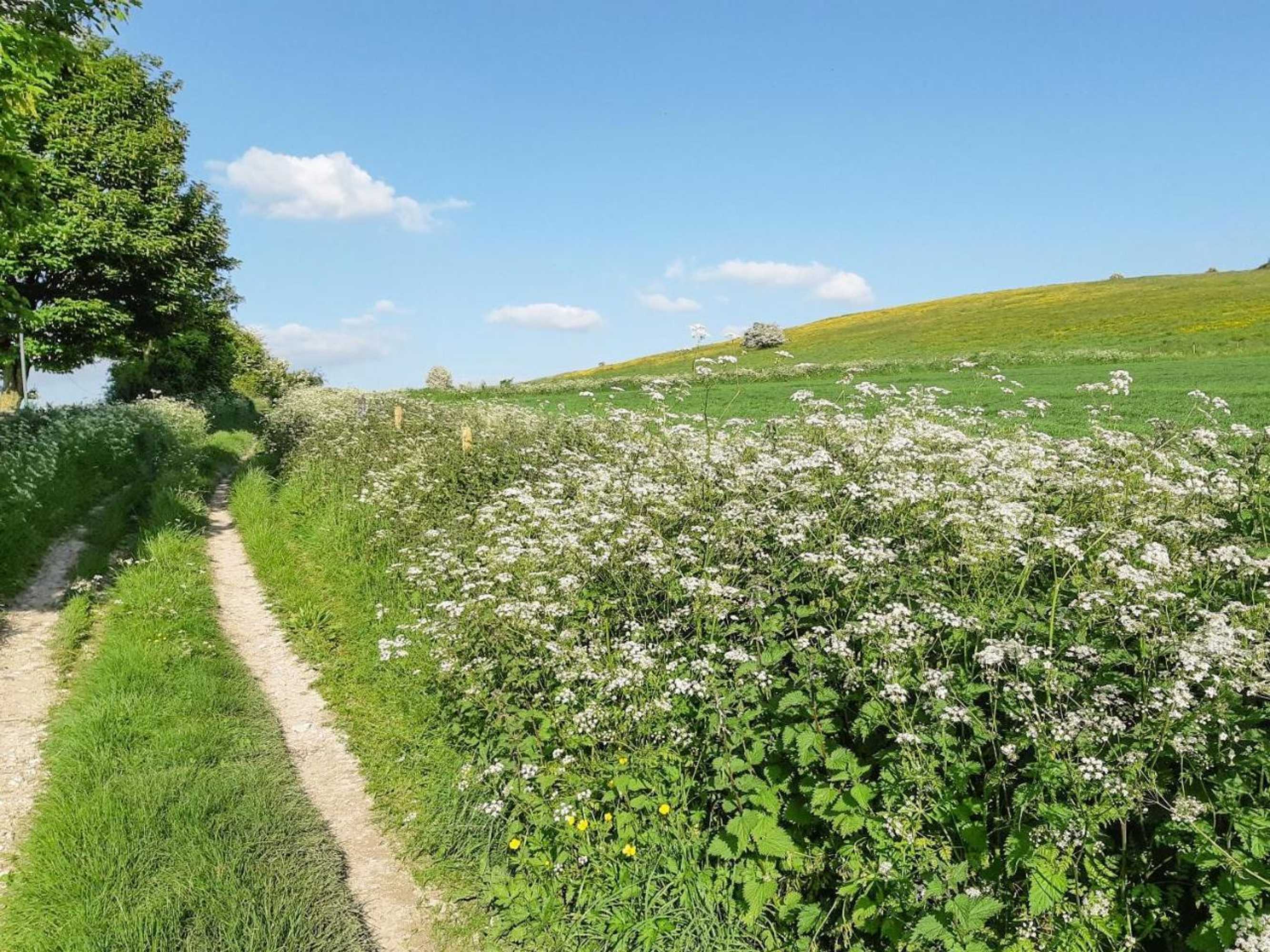 Gift card for Whitey Top Lodge