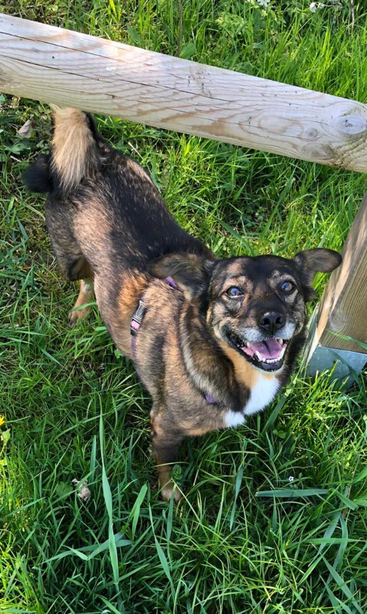 Gift card for Villa Kunterbunt