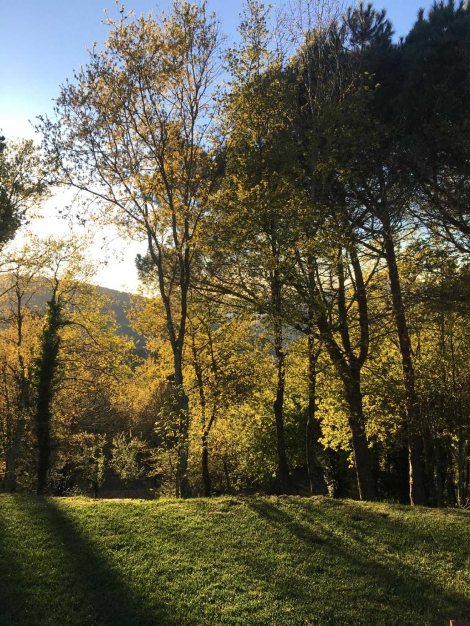 Gift card for A Padaria Farmhouse