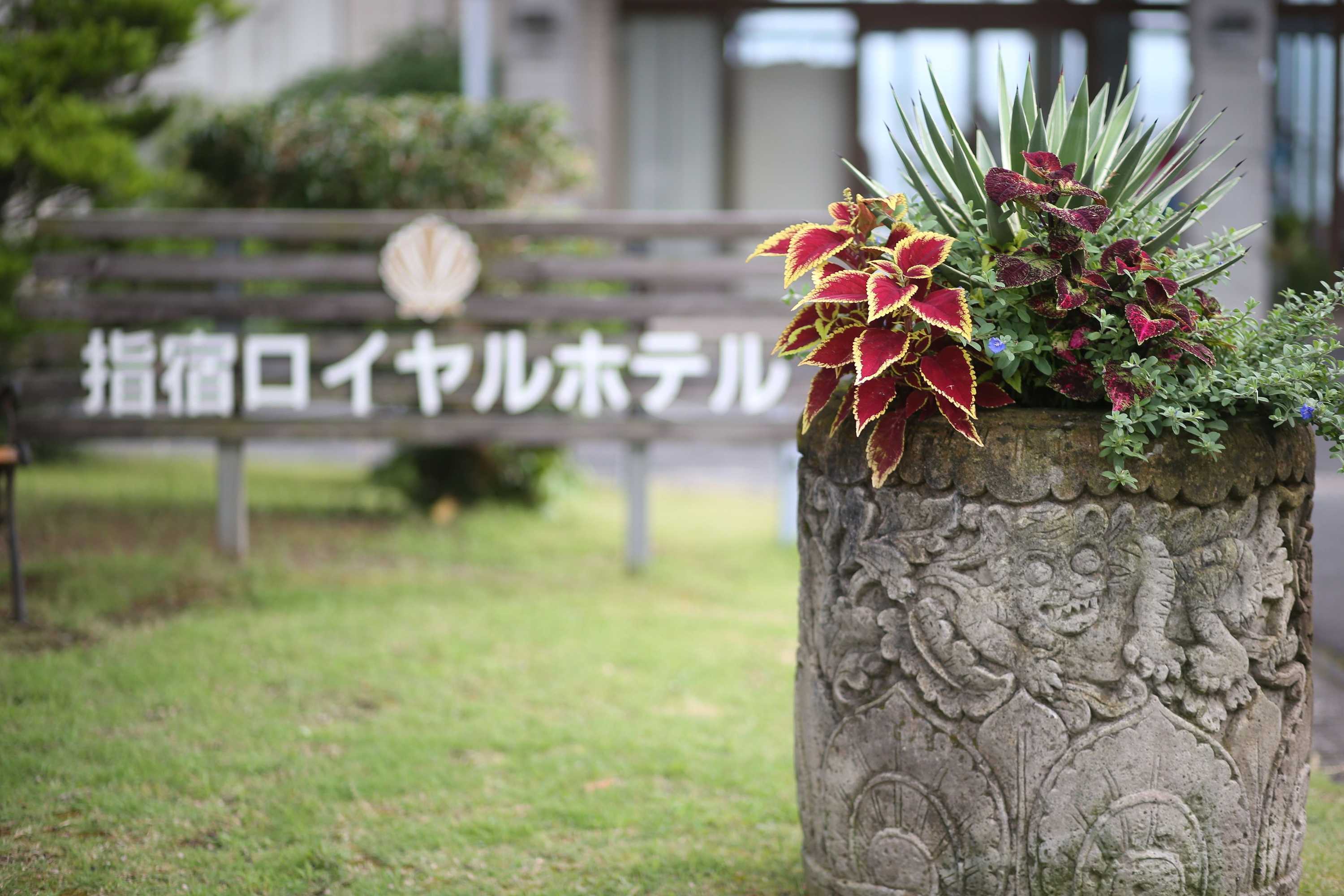 Gift card for Ibusuki Royal Hotel Gift card for Ibusuki Royal Hotel
