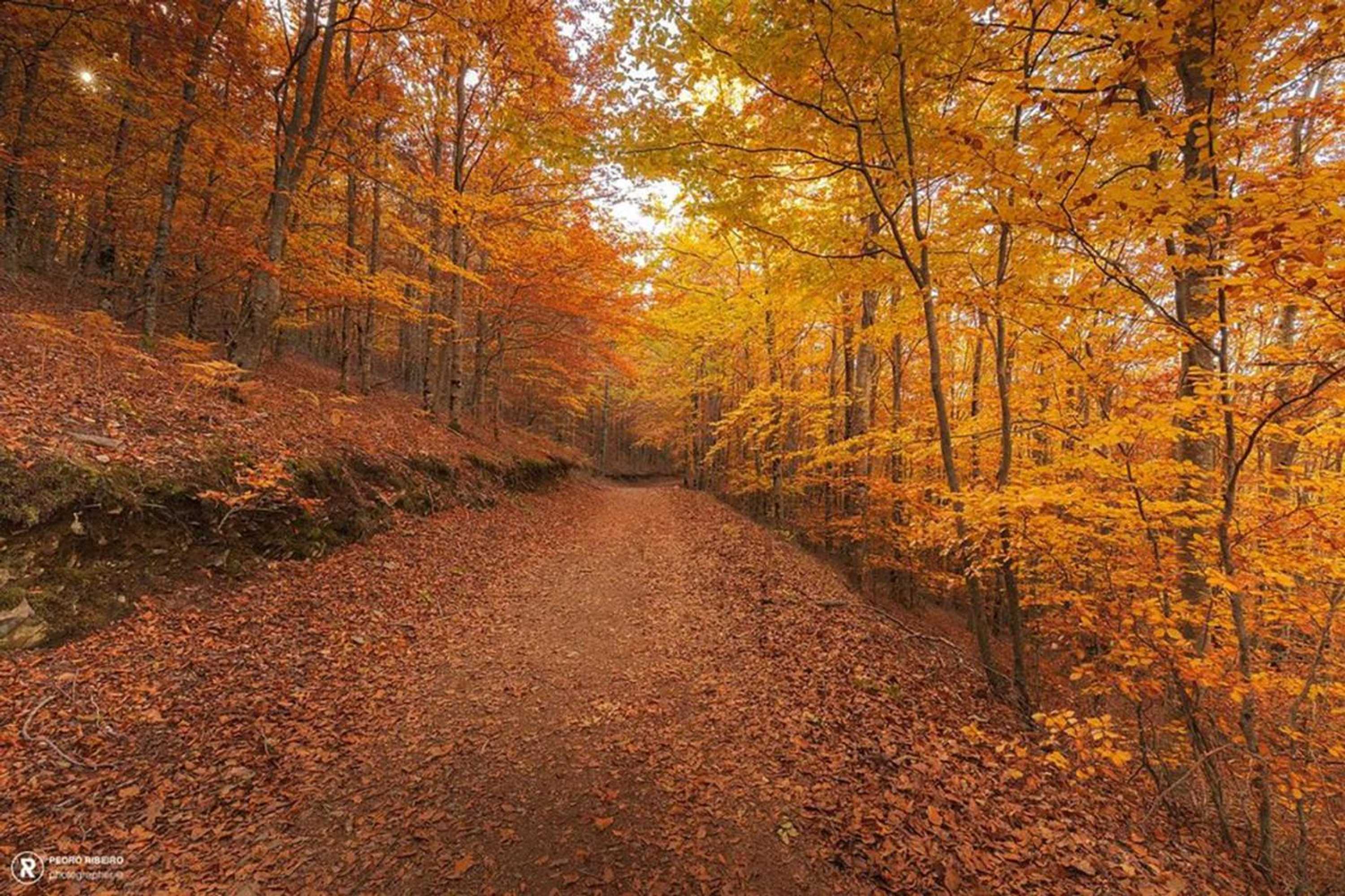 Gift card for Casa Das Penhas Douradas - Burel Expedition Hotel