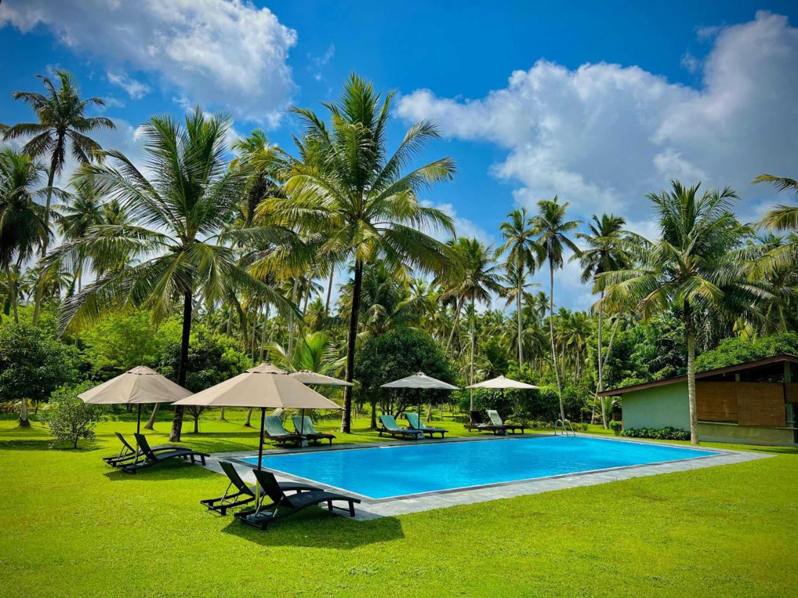Gift card for Ambarella Lodge - Katunayake Gift card for Ambarella Lodge - Katunayake