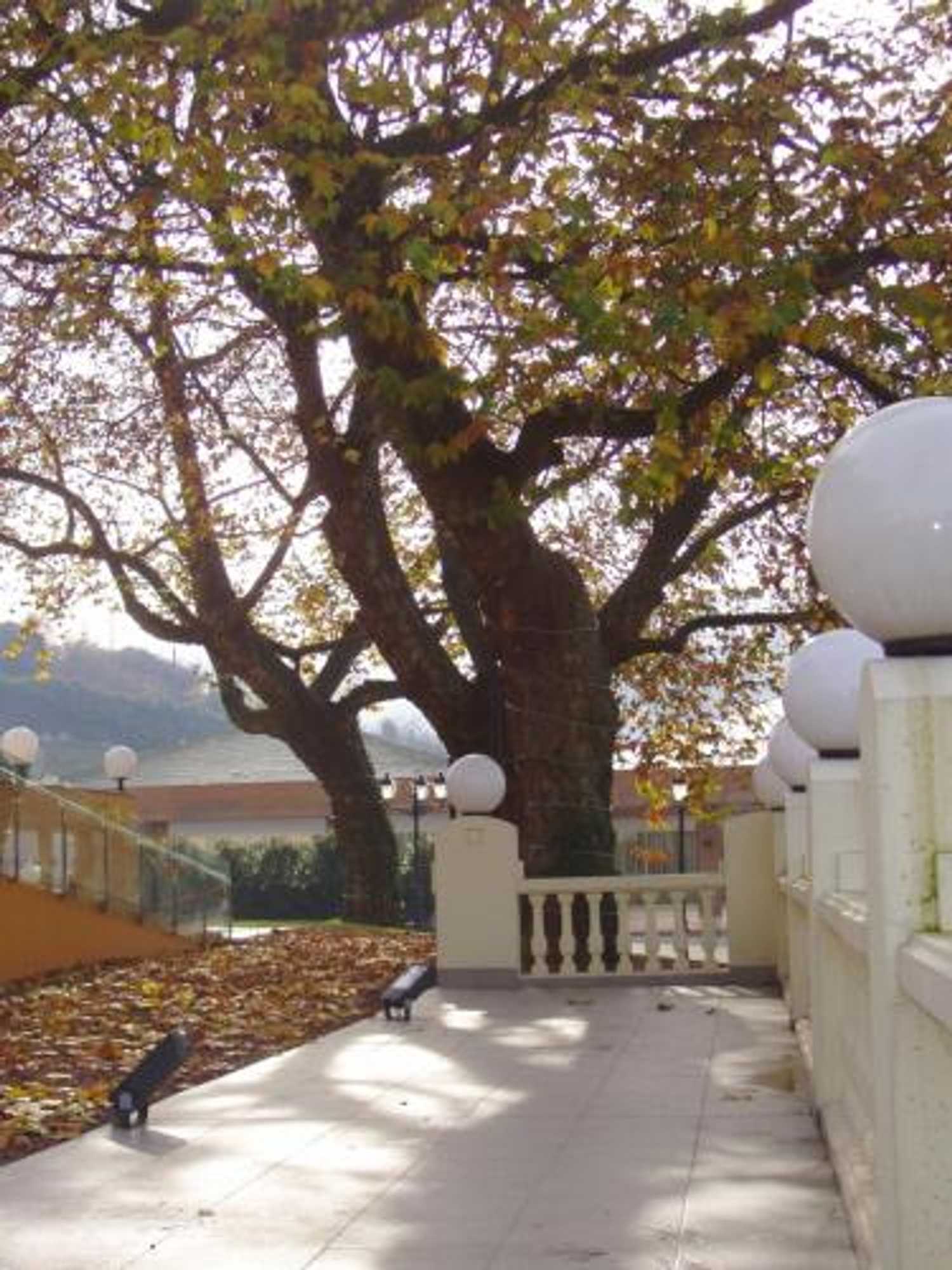 Gift card for Hotel Arcea Palacio de Las Nieves Gift card for Hotel Arcea Palacio de Las Nieves
