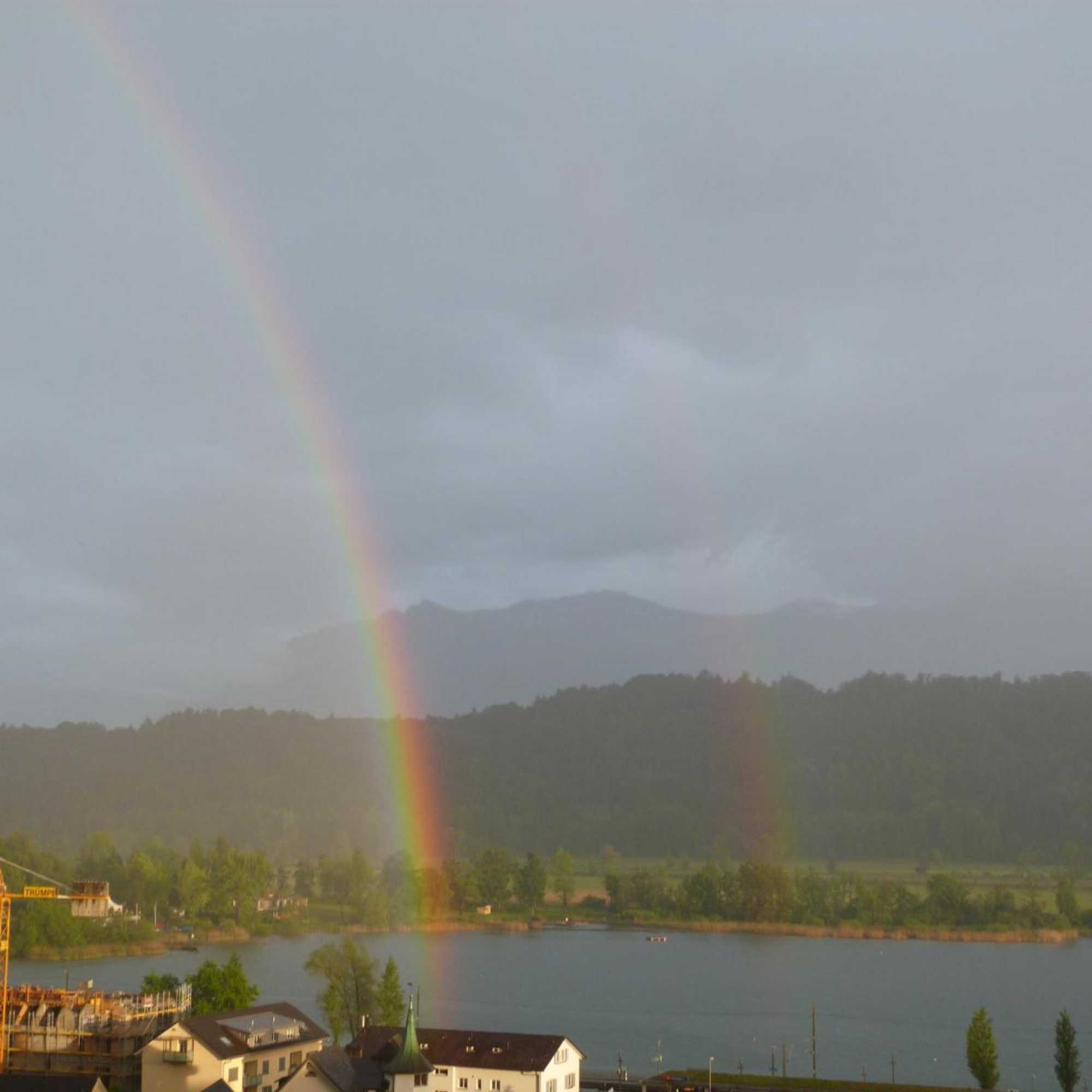 Gift card for Bnb Goldberg