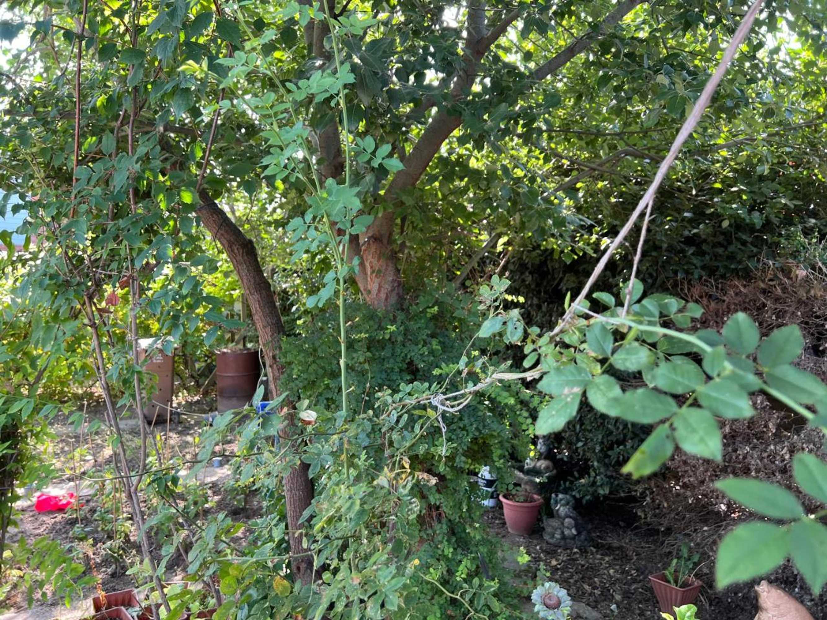 Gift card for Seaside Resort