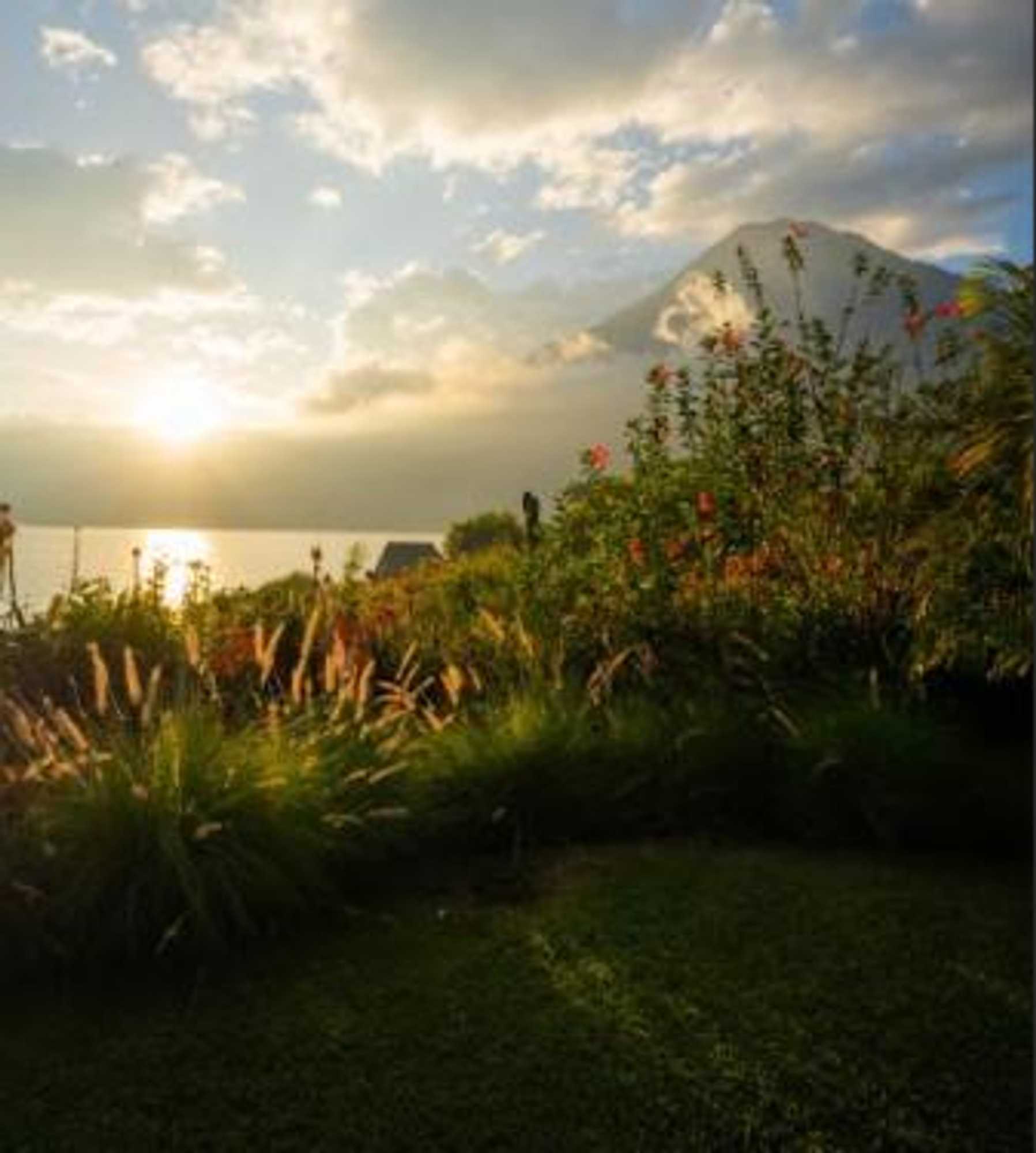 Gift card for Hotel y Restaurante Bambu Gift card for Hotel y Restaurante Bambu