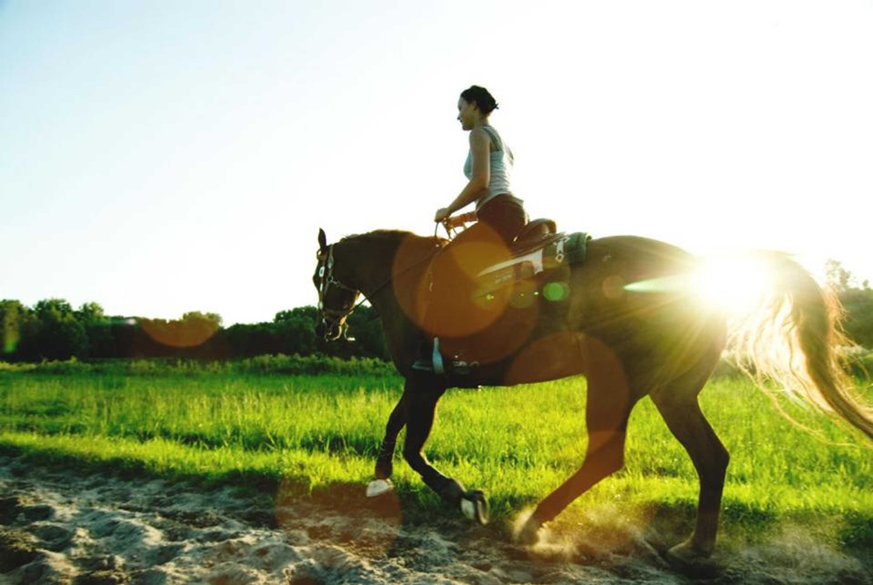 Gift card for B&b Bleiswijk