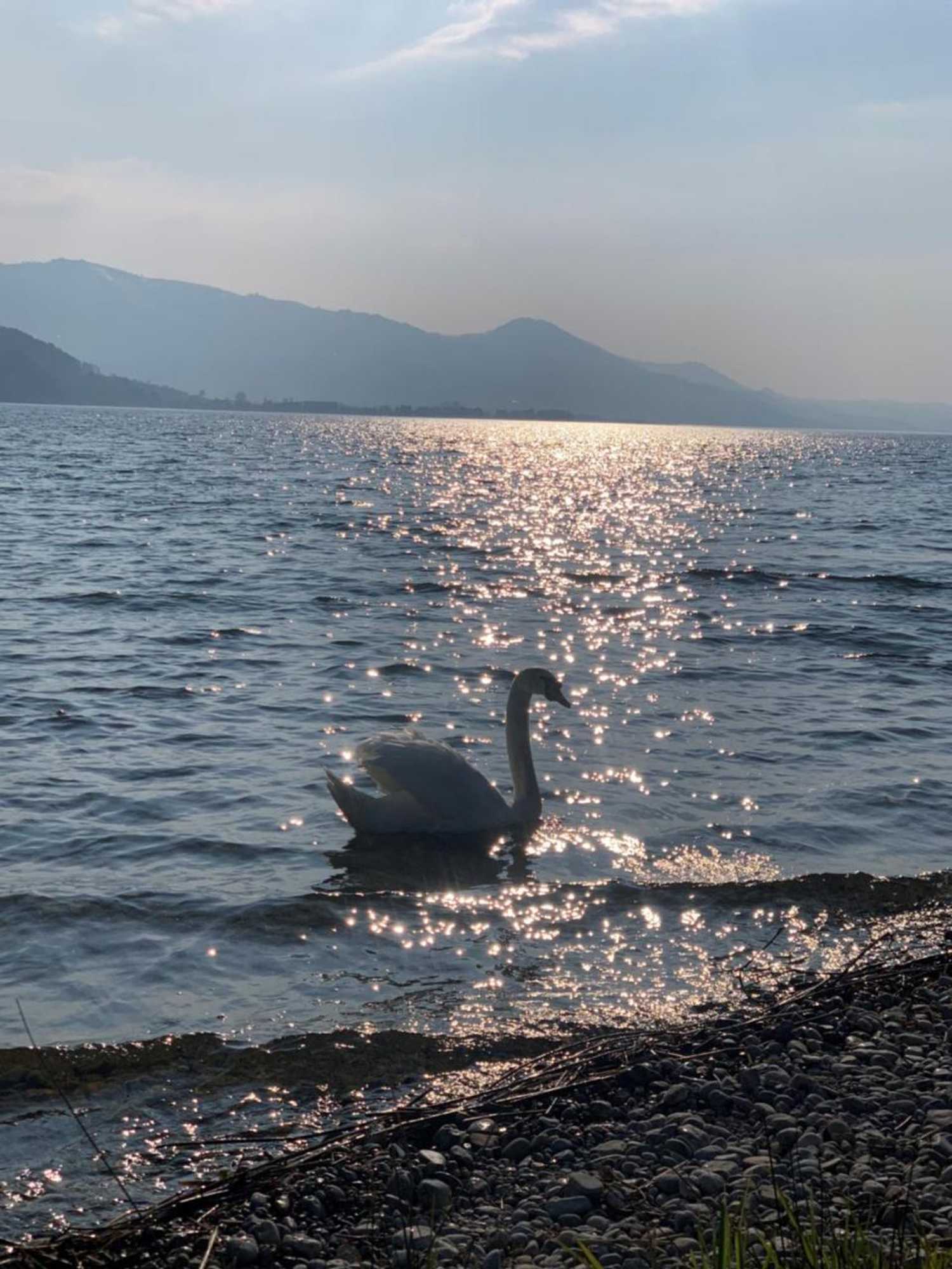 Gift card for Strandhotel Schmerikon