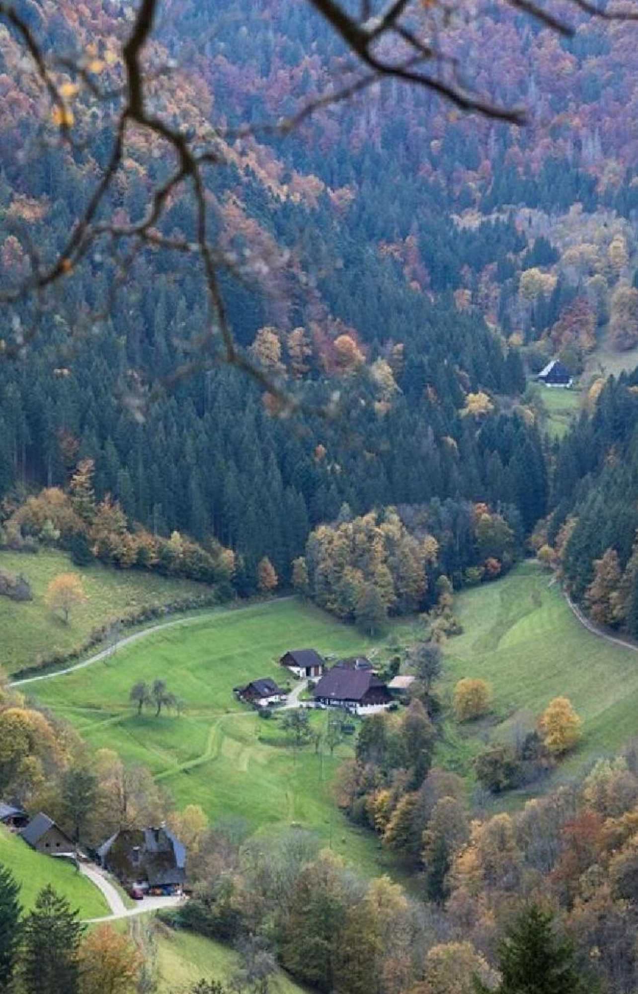 Gift card for Kräuter Chalet