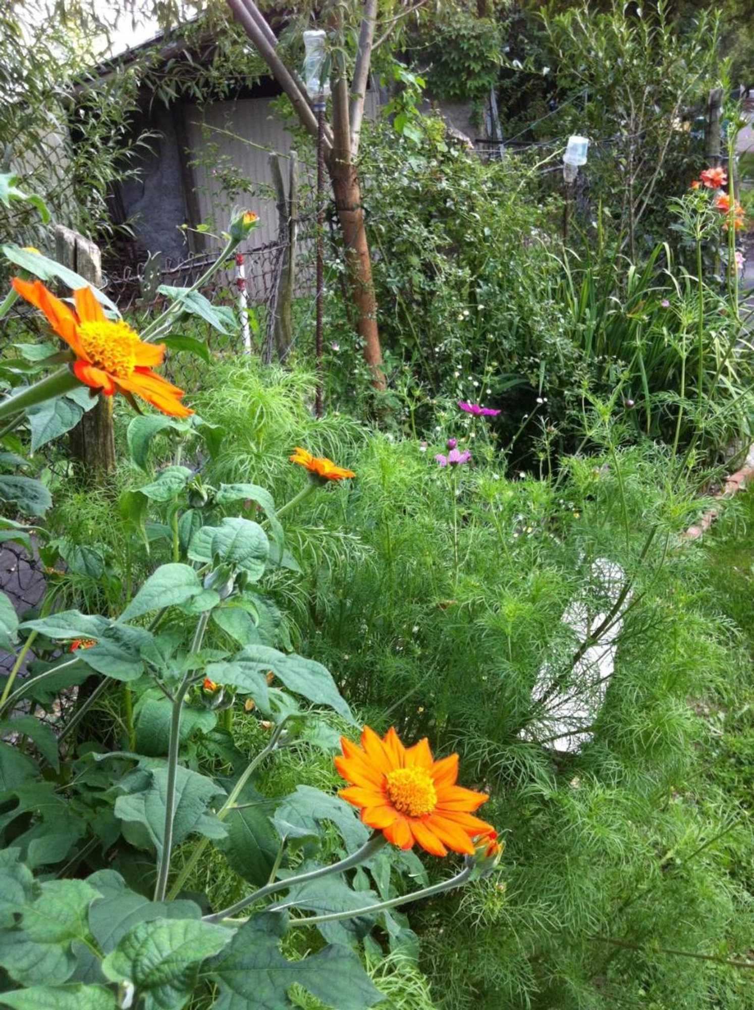 Gift card for B&b Alba Sul Lago