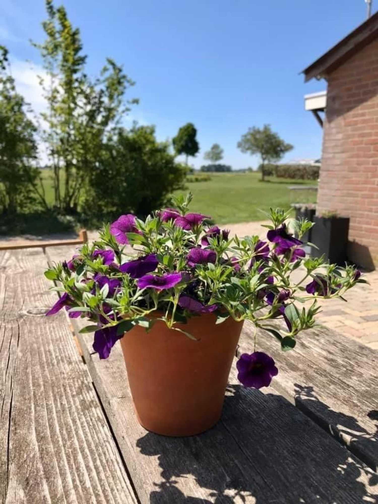 Gift card for Camping Lagewald Vakantiehuis