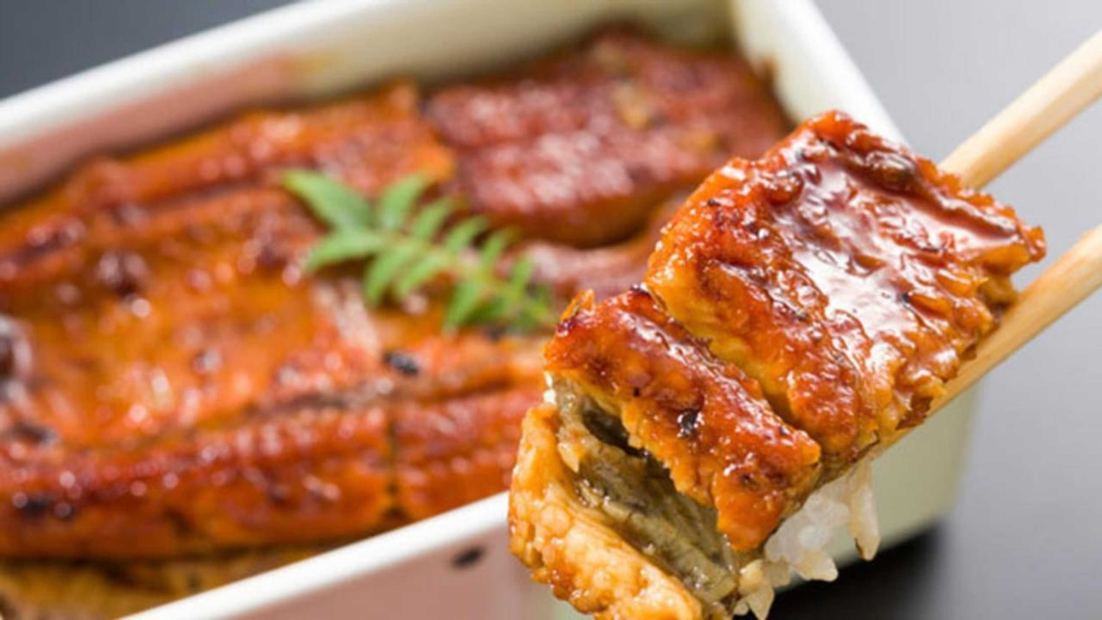 Gift card for Kyukamura Fuji