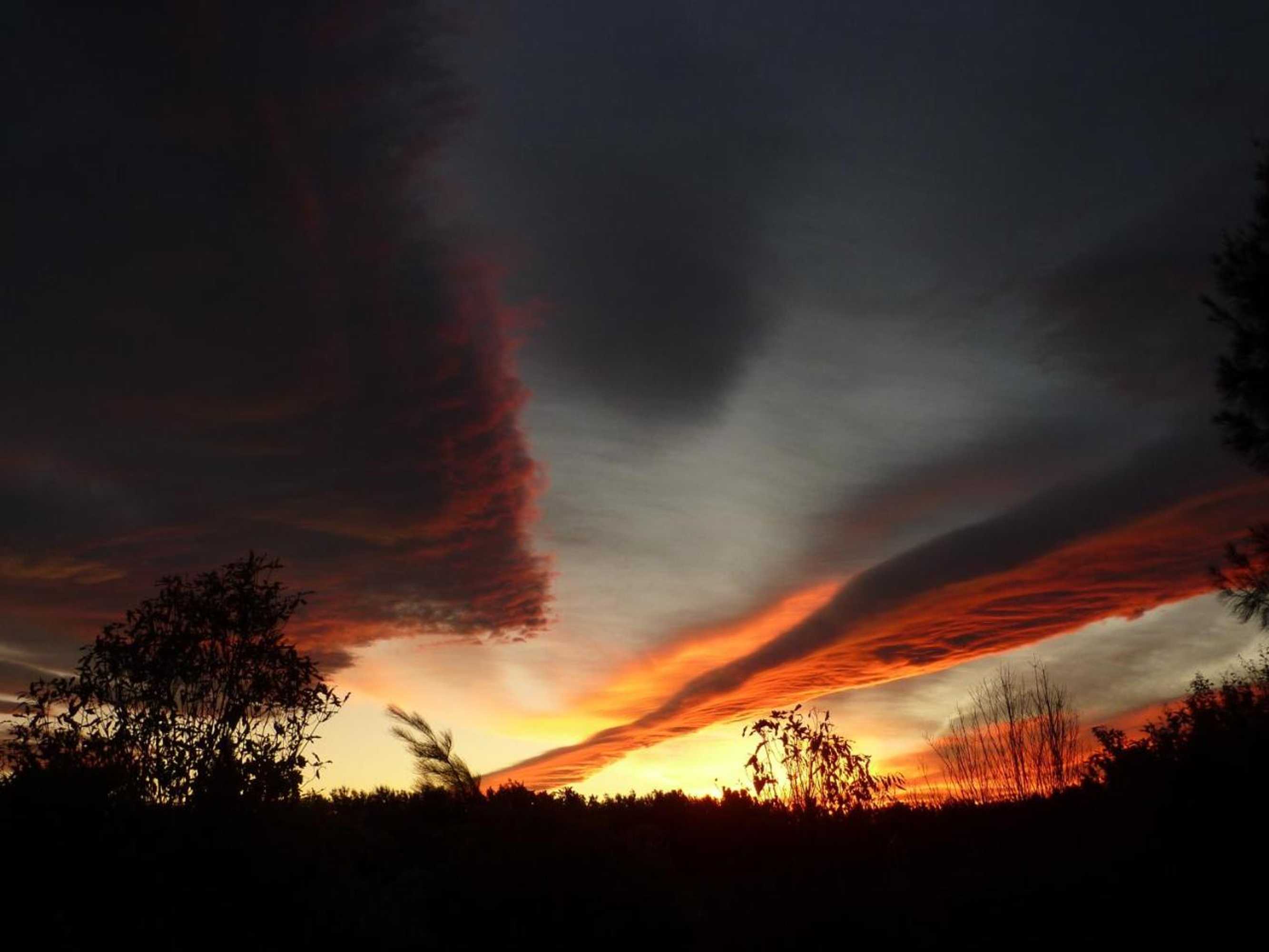 Gift card for Clive Colonial Cottages