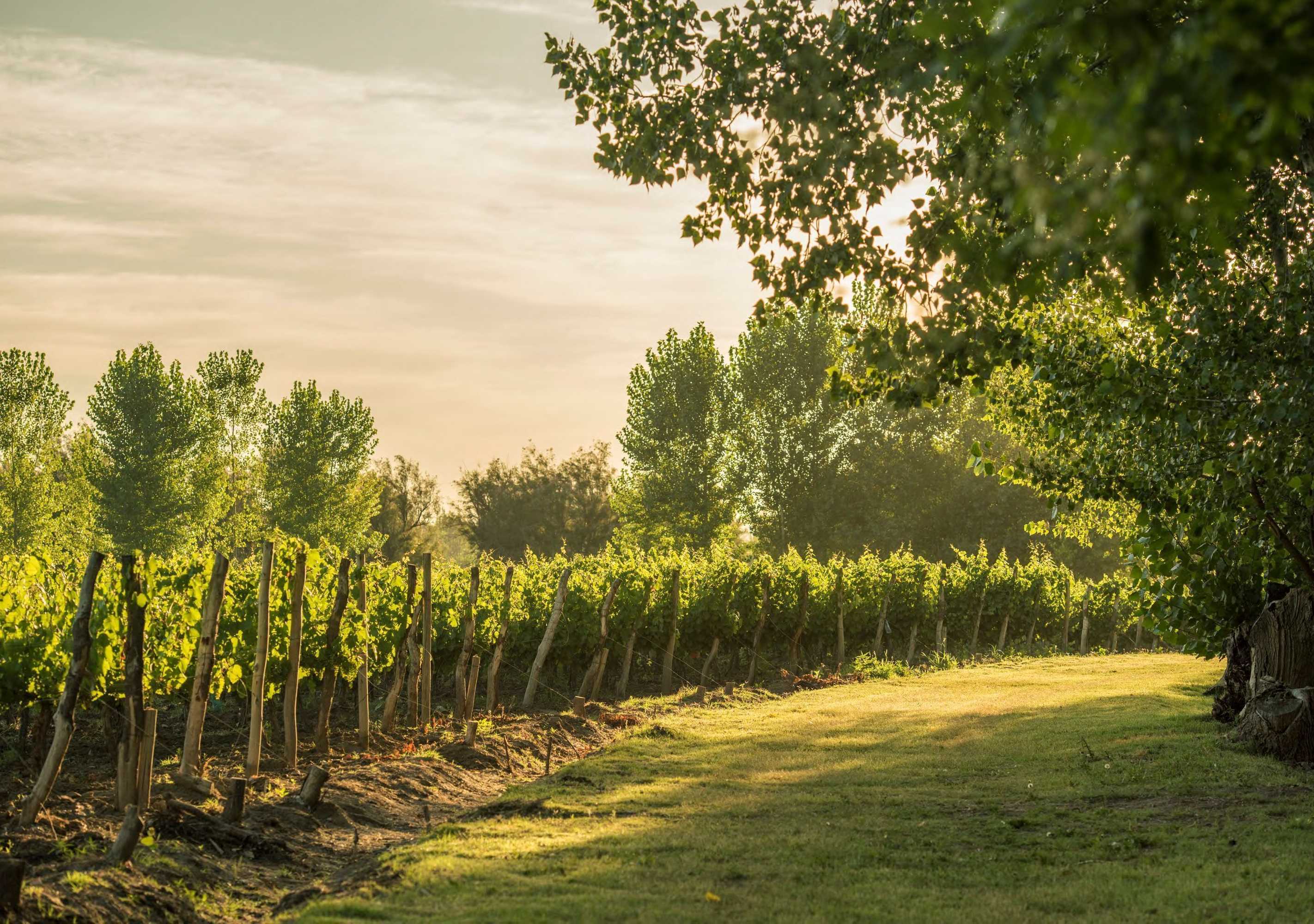 Gift card for Postales by Dot Boutique