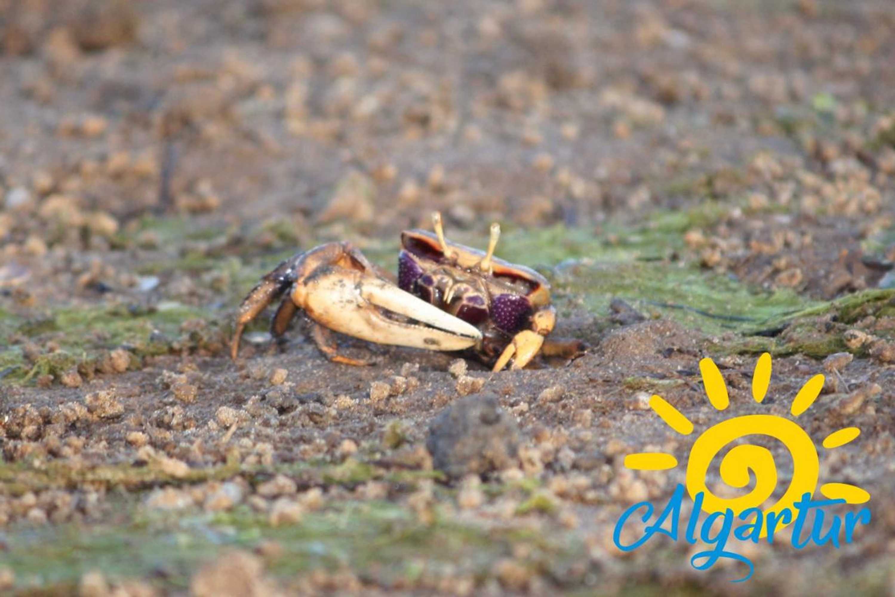 Gift card for Cabanas Ria