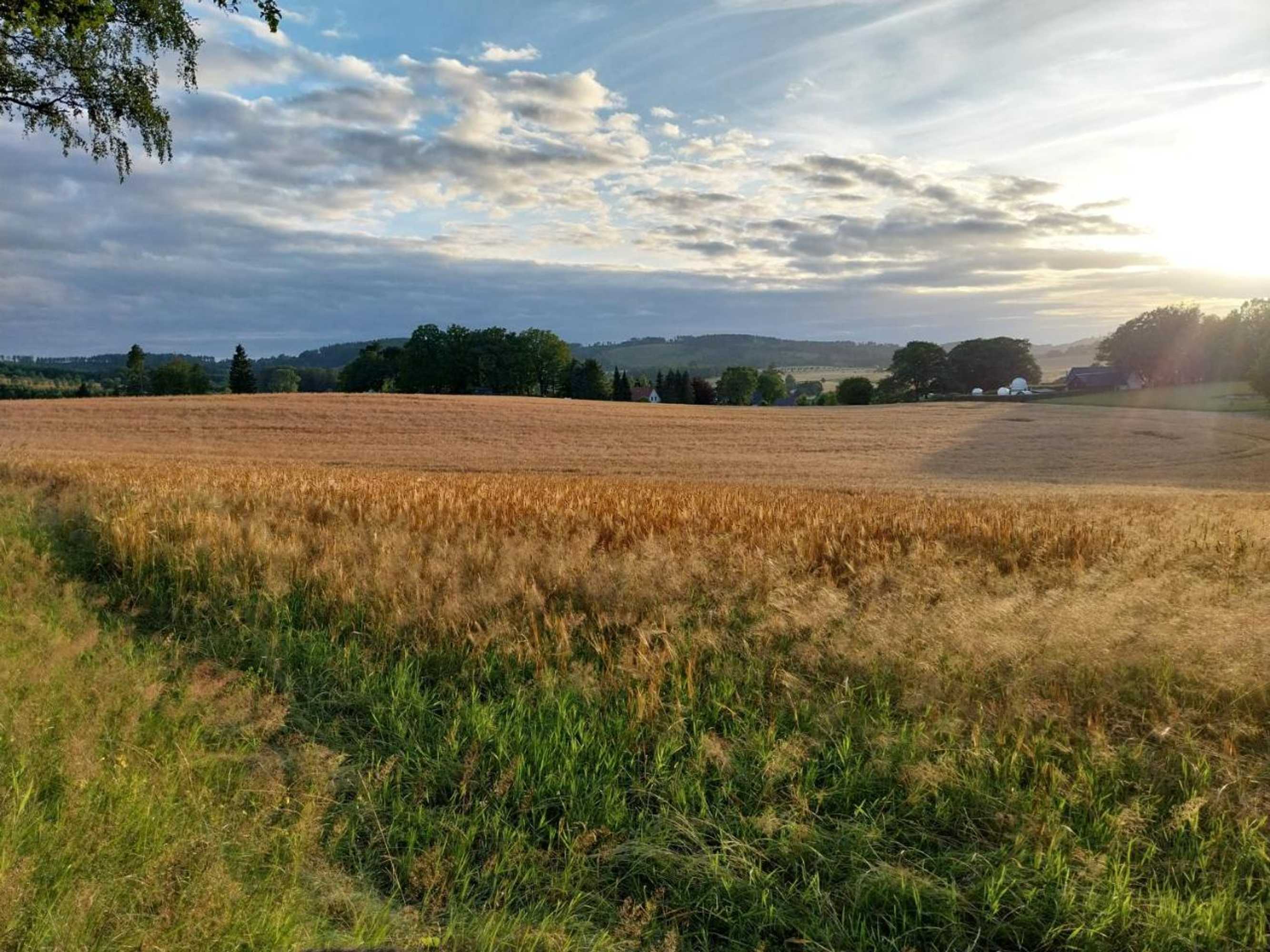 Gift card for Landhotel Waldschlößchen Mit Gaststube