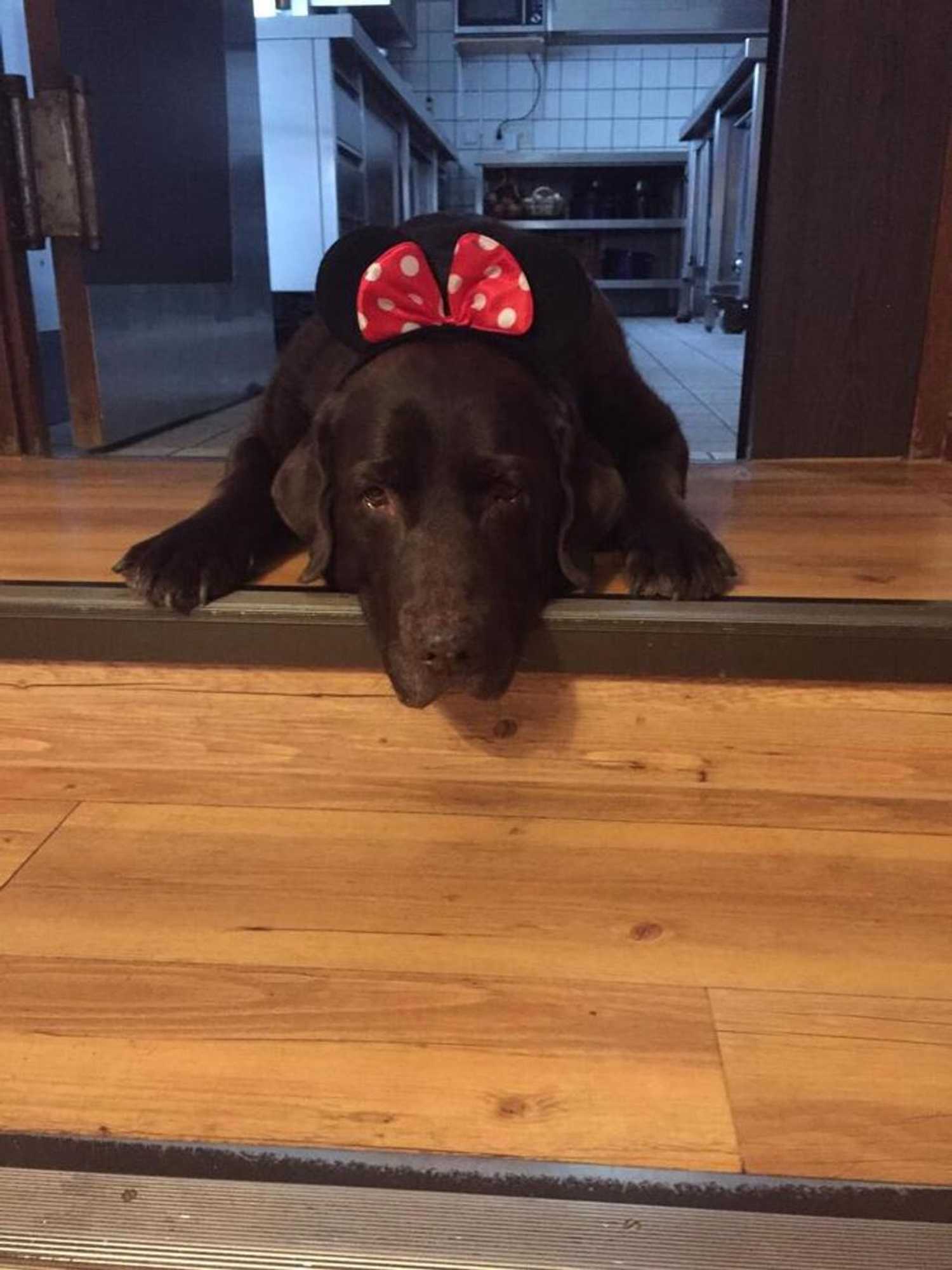 Gift card for Waldziegelhütte Landhaus