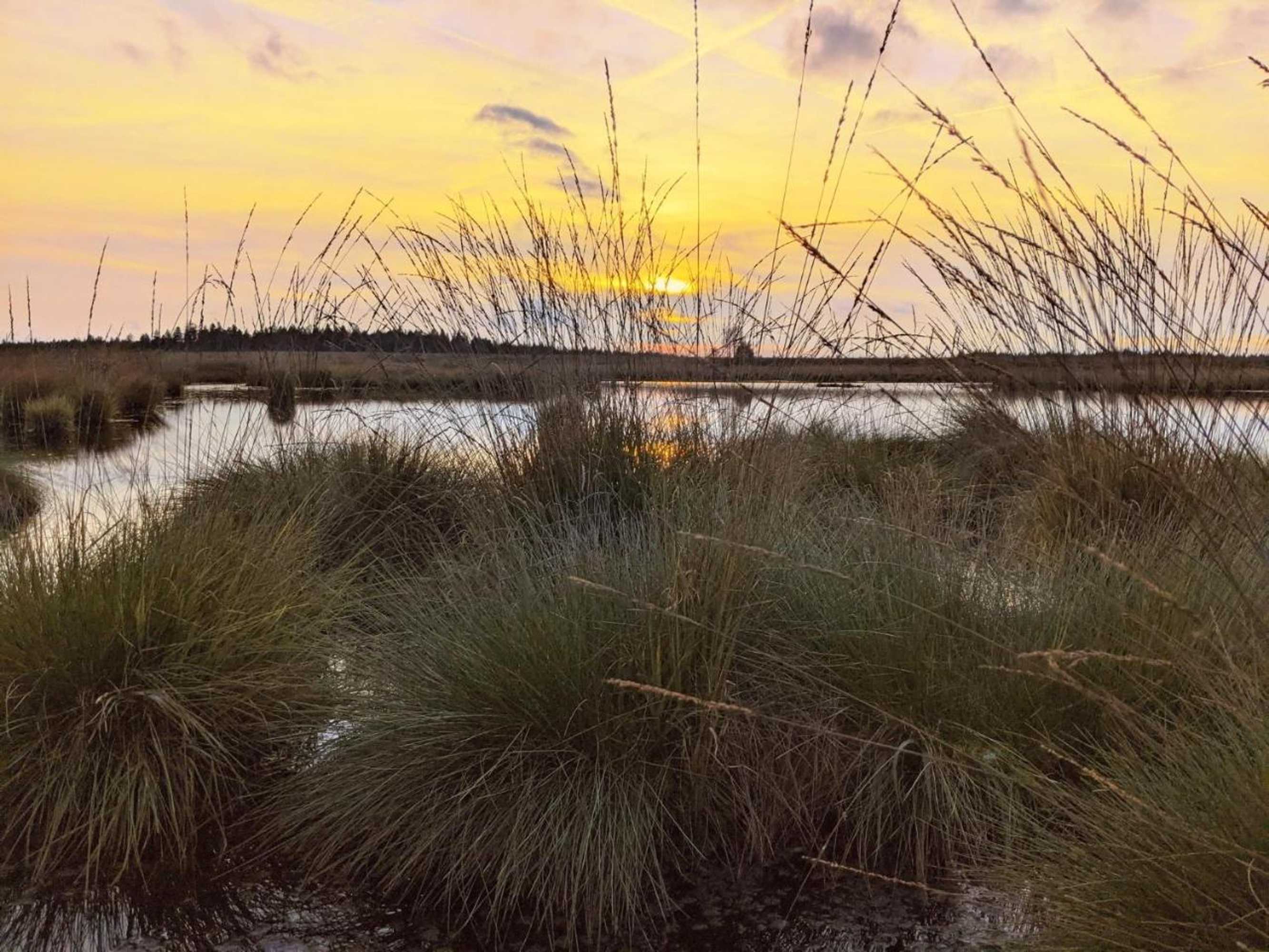 Gift card for Victorhof Landurlaub Deine Auszeit im Grünen, Umgeben Von Wald & Wiesen