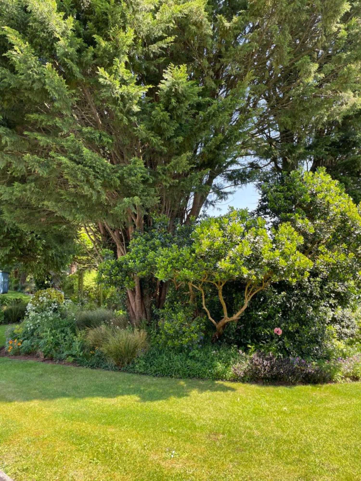 Gift card for Leylands Annexe