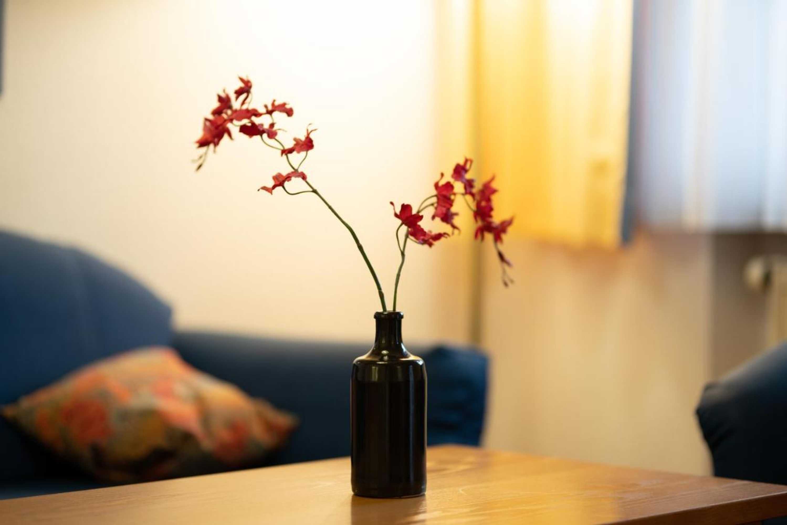 Gift card for Appartement Hotel Finkenhof