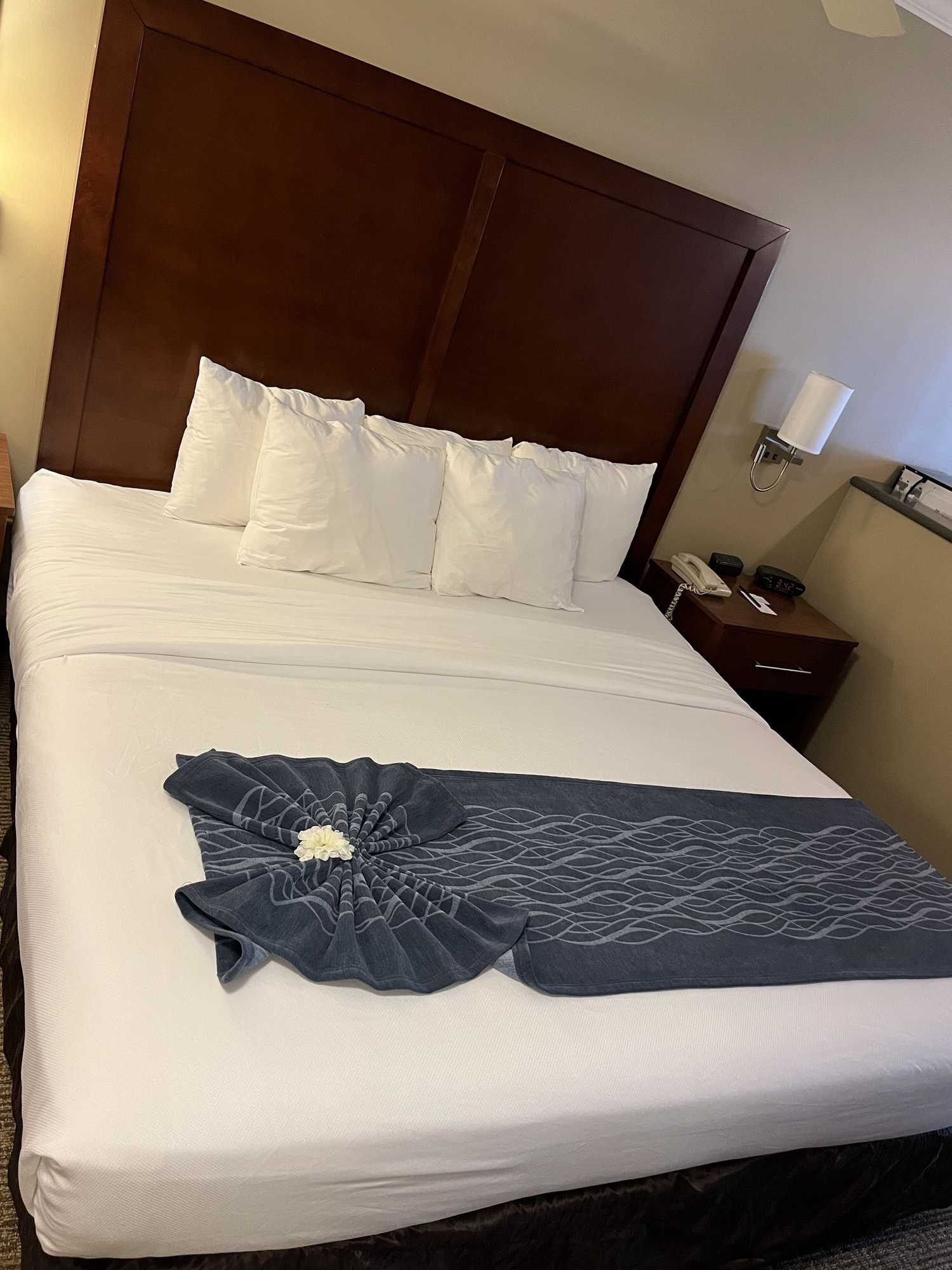 Gift card for Comfort Inn & Suites Ocean Shores Gift card for Comfort Inn & Suites Ocean Shores