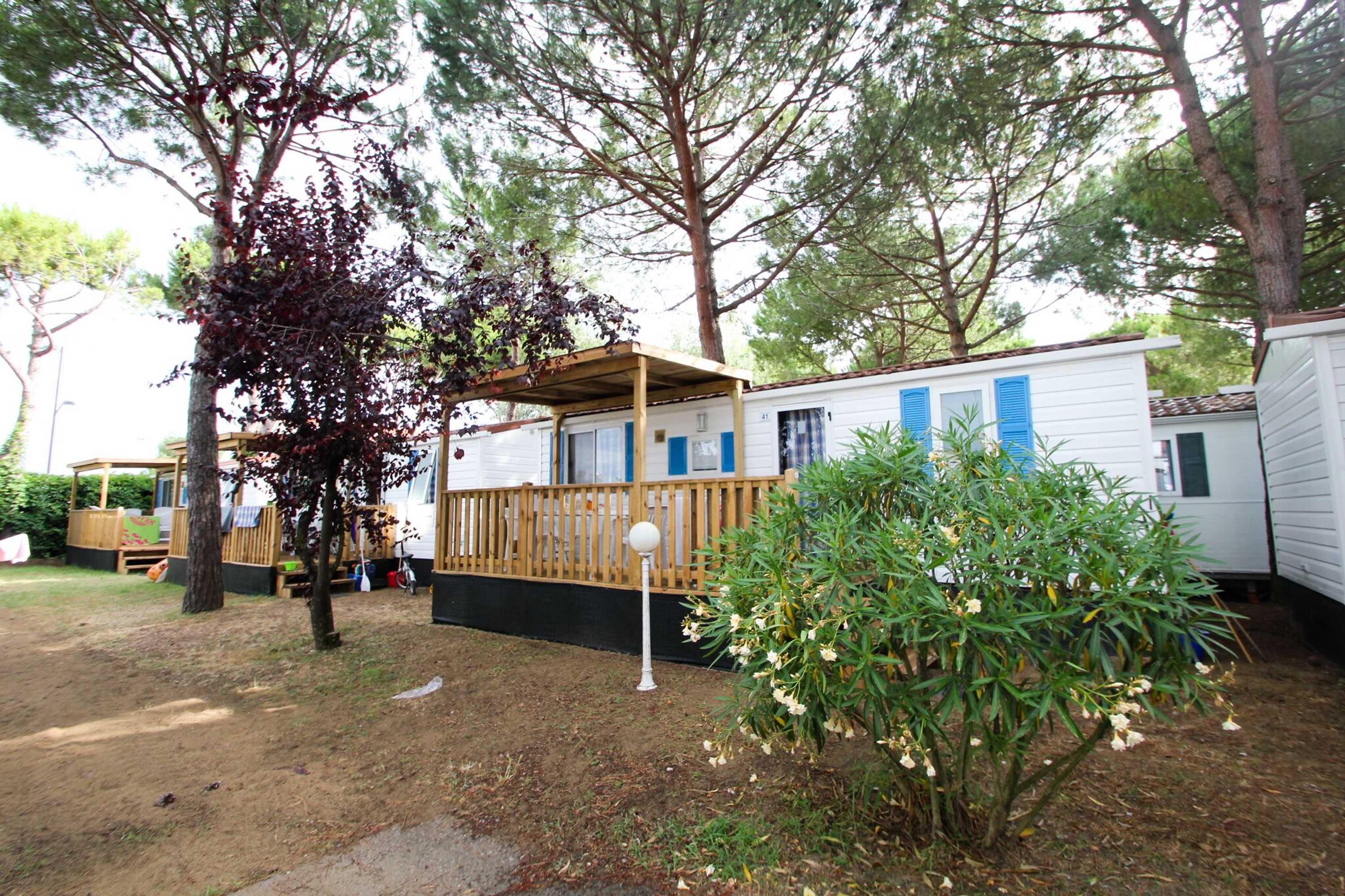 Gift card for Happy Camp Torre Rinalda Camping Village Gift card for Happy Camp Torre Rinalda Camping Village