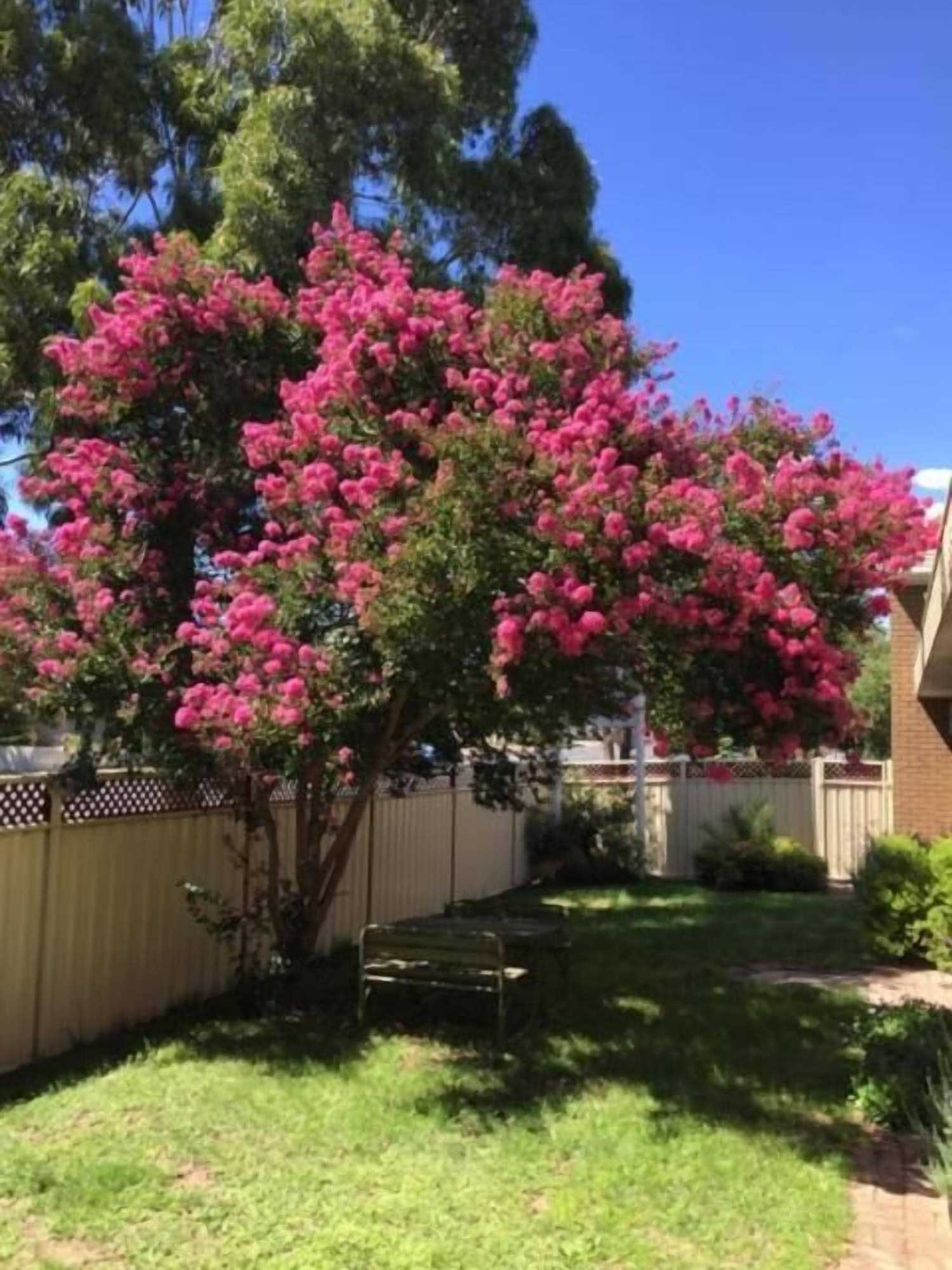 Gift card for Eaglehawk Motel Bendigo