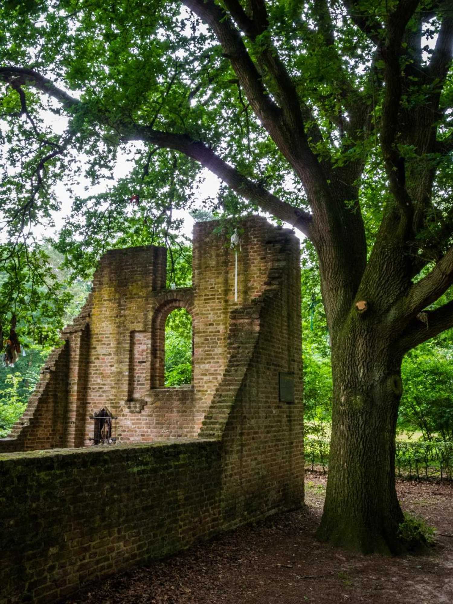 Gift card for B&b Bij de 3 Linden