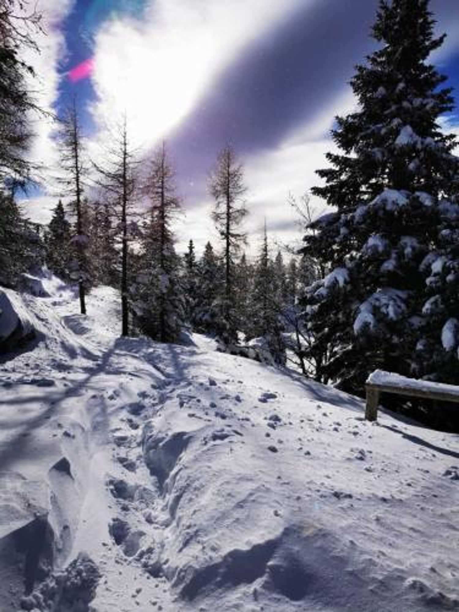 Gift card for Chalet Gorenjka - Velika Planina Gift card for Chalet Gorenjka - Velika Planina