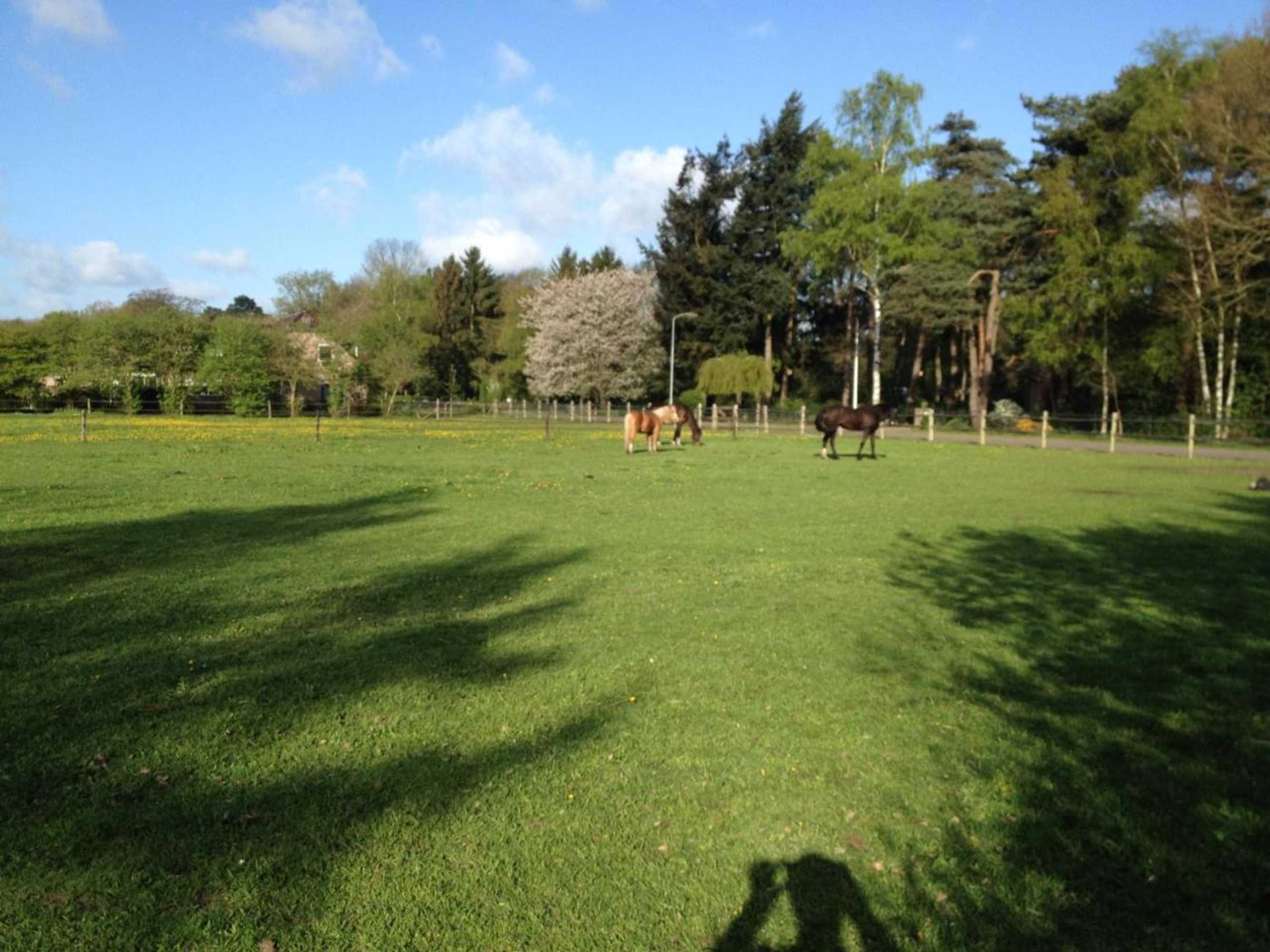 Gift card for De Heidehoeve