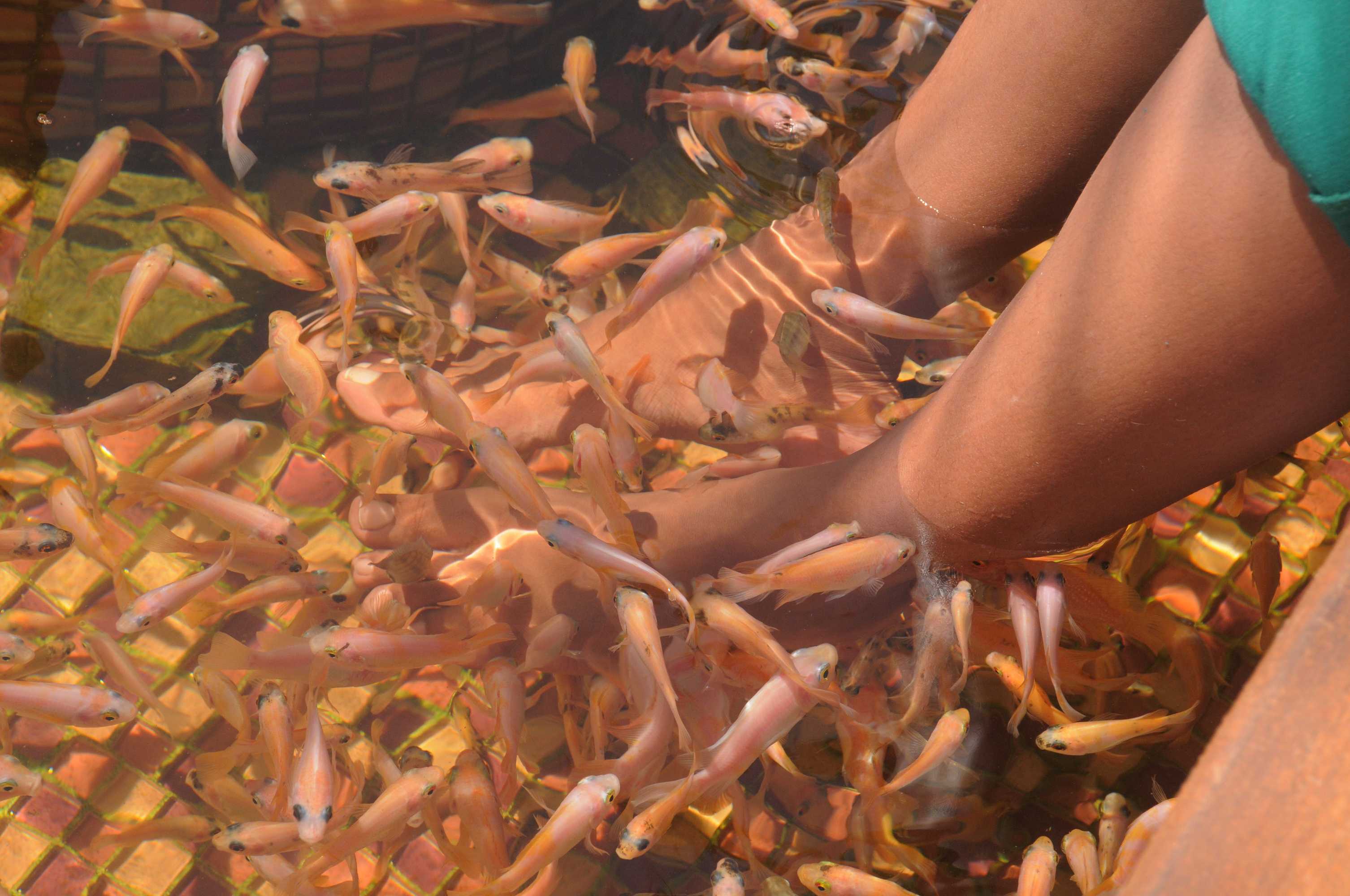 Gift card for White Villa Resort Aungalla