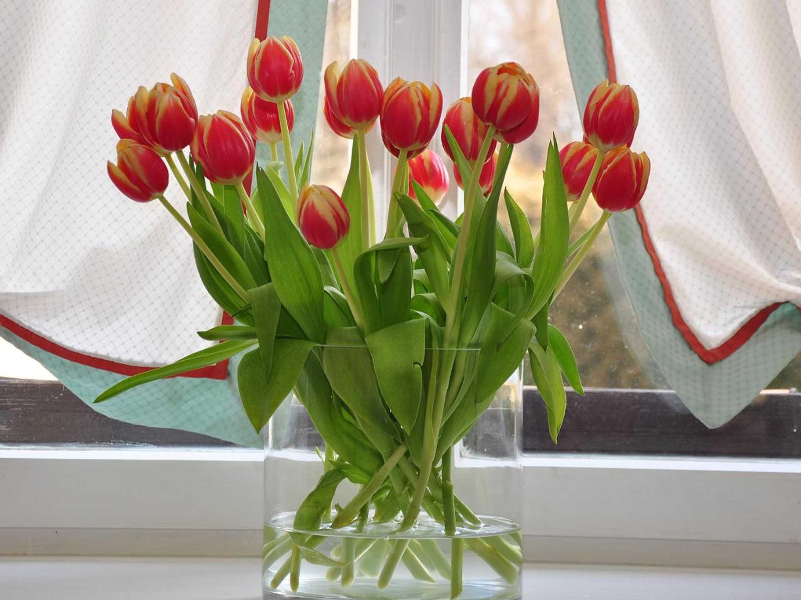 Gift card for Landhotel Schloss Buttenheim