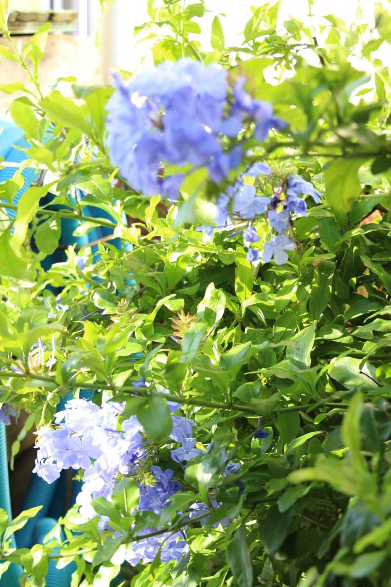 Gift card for Casa o Futuro