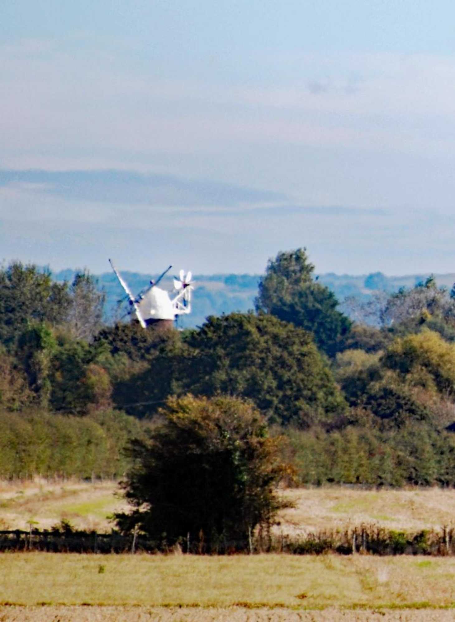 Gift card for Barnham Court Farm