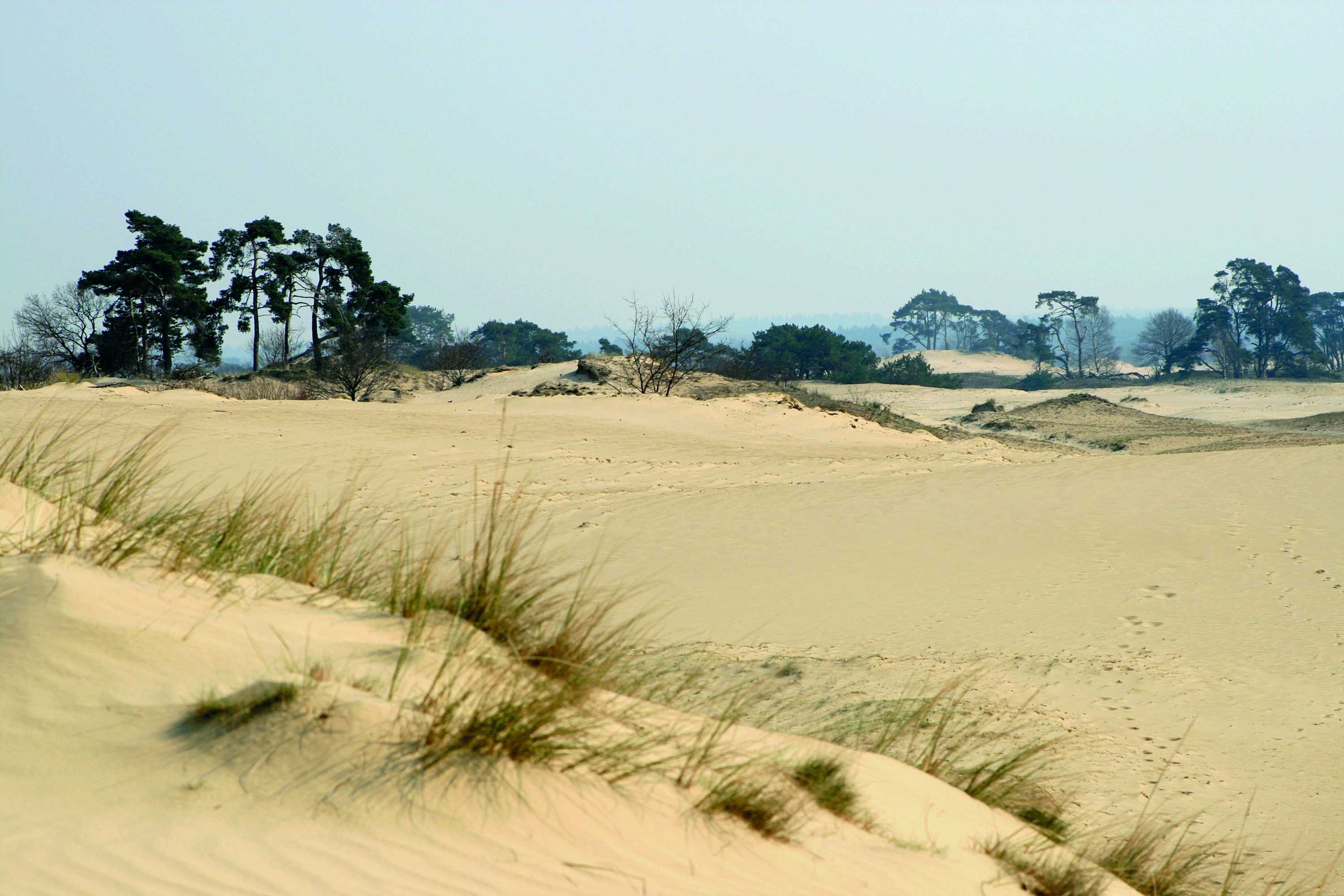 Gift card for Fletcher Hotel Het Witte Huis