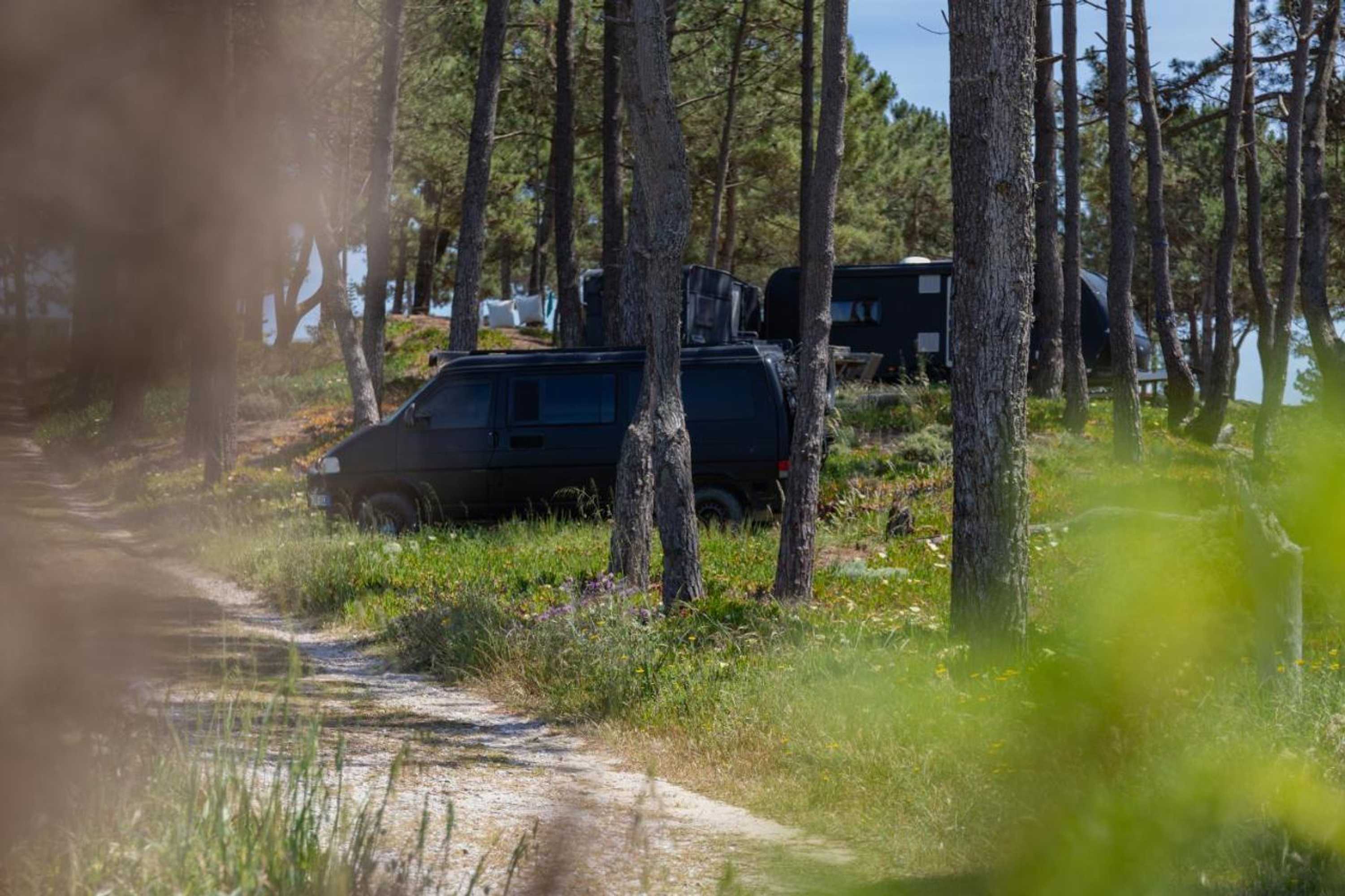 Gift card for Campimeco by Campigir