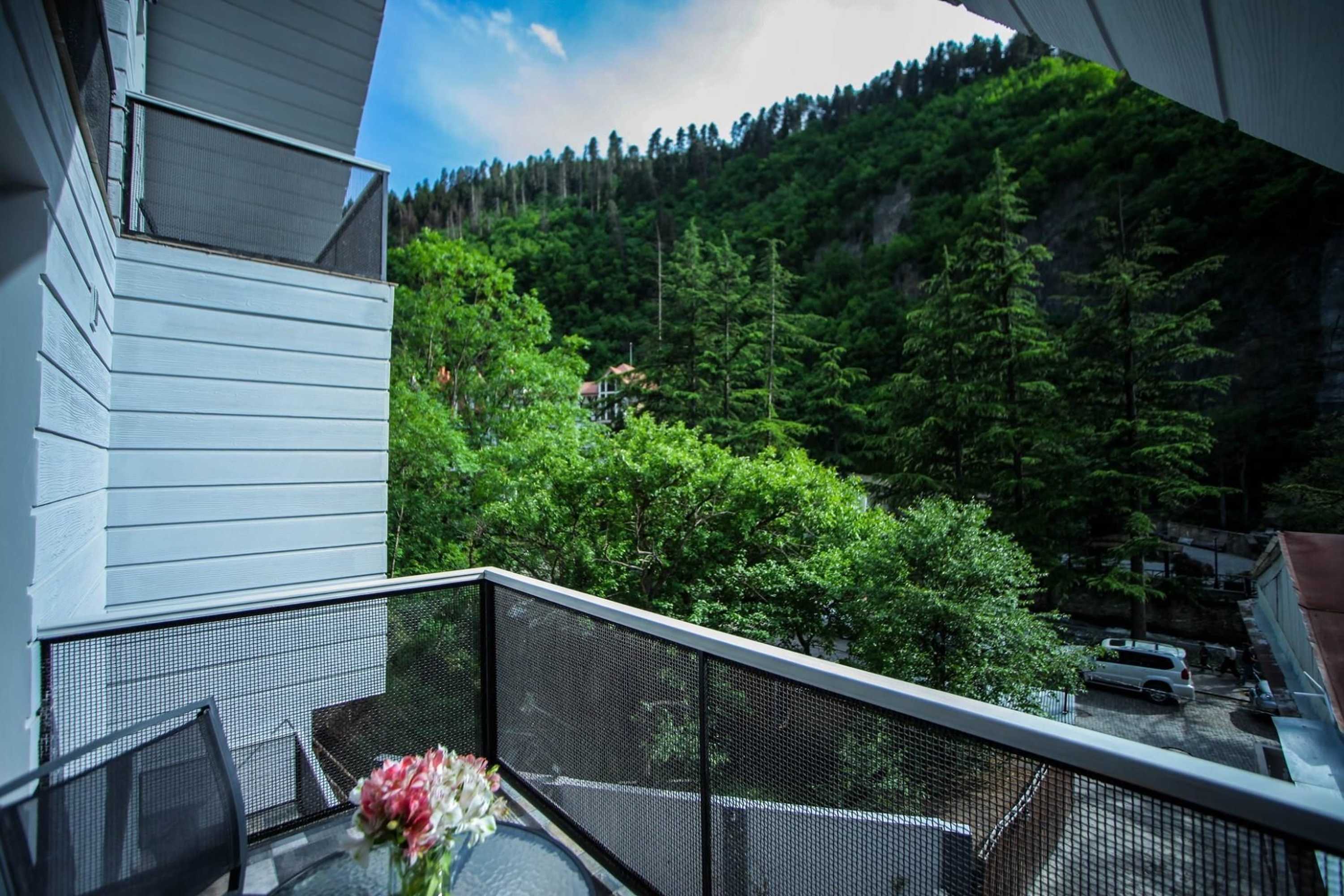 Gift card for Borjomi Underwood Hotel Gift card for Borjomi Underwood Hotel