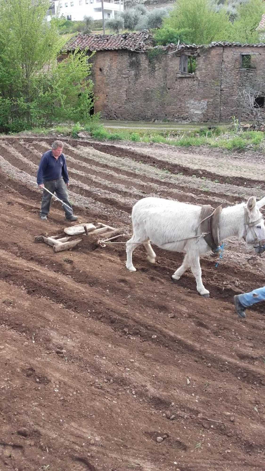 Gift card for Casa do Prado