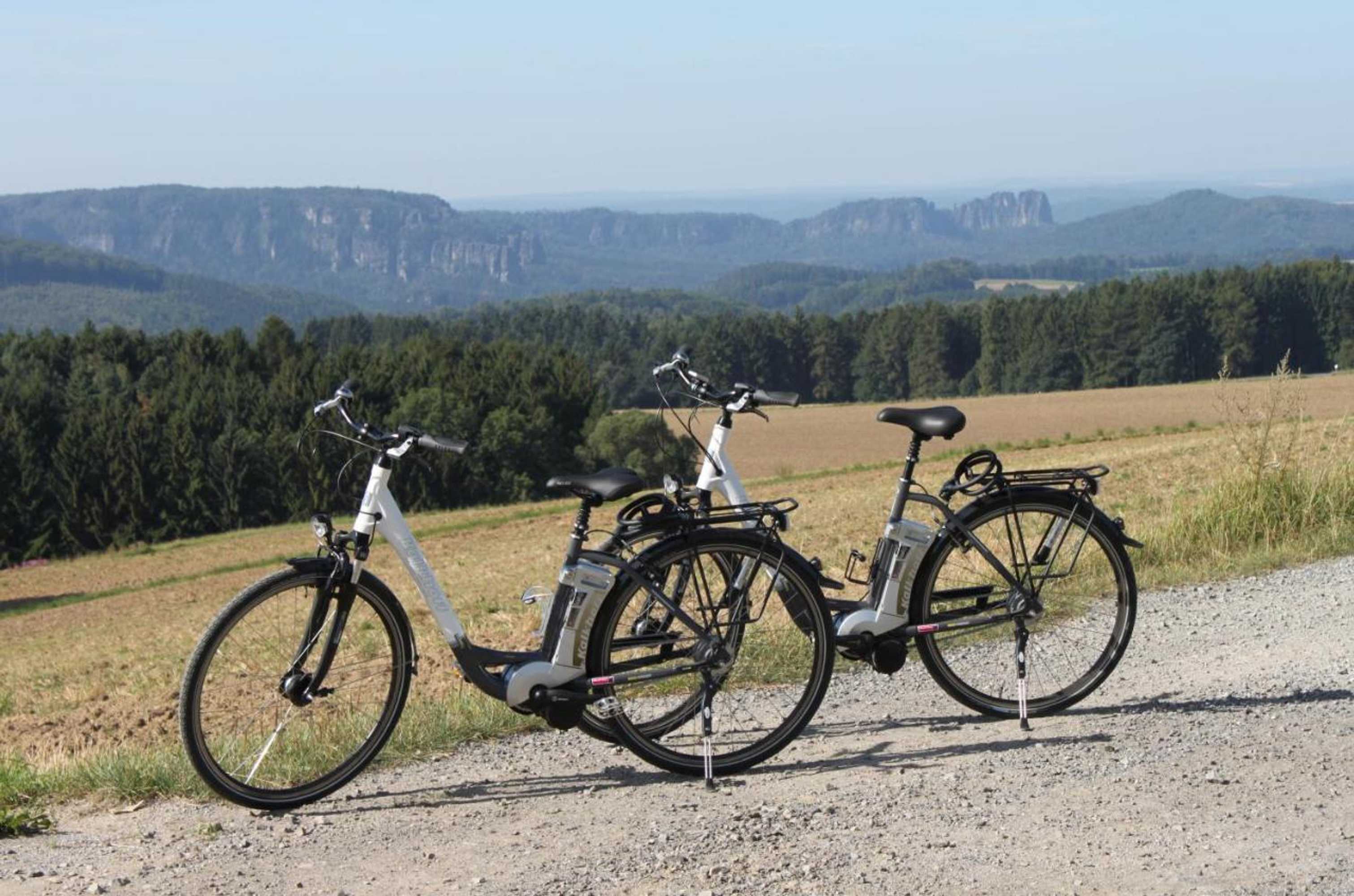 Gift card for Gasthof Hertigswalde