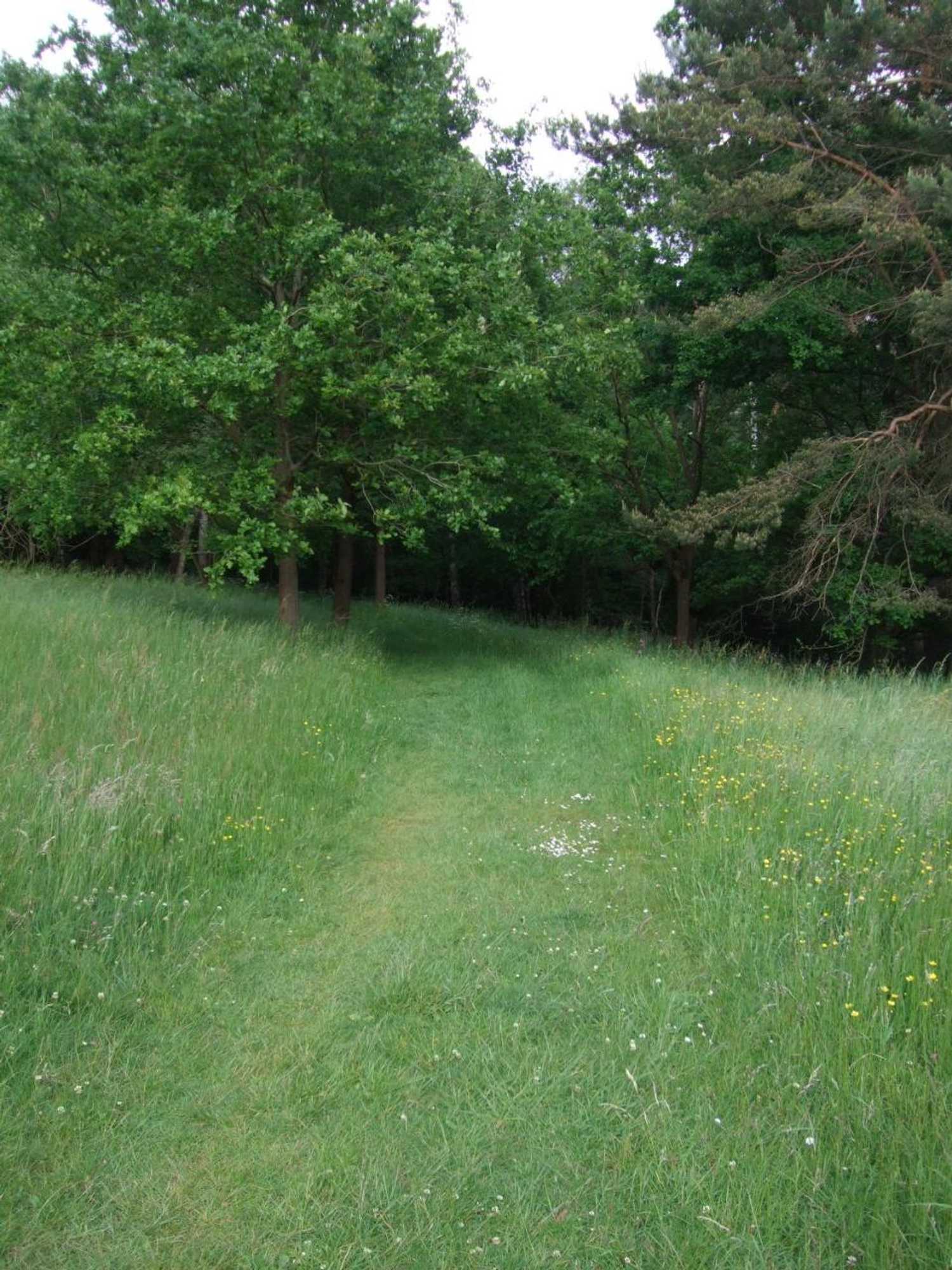 Gift card for Parkhotel Hammerberg