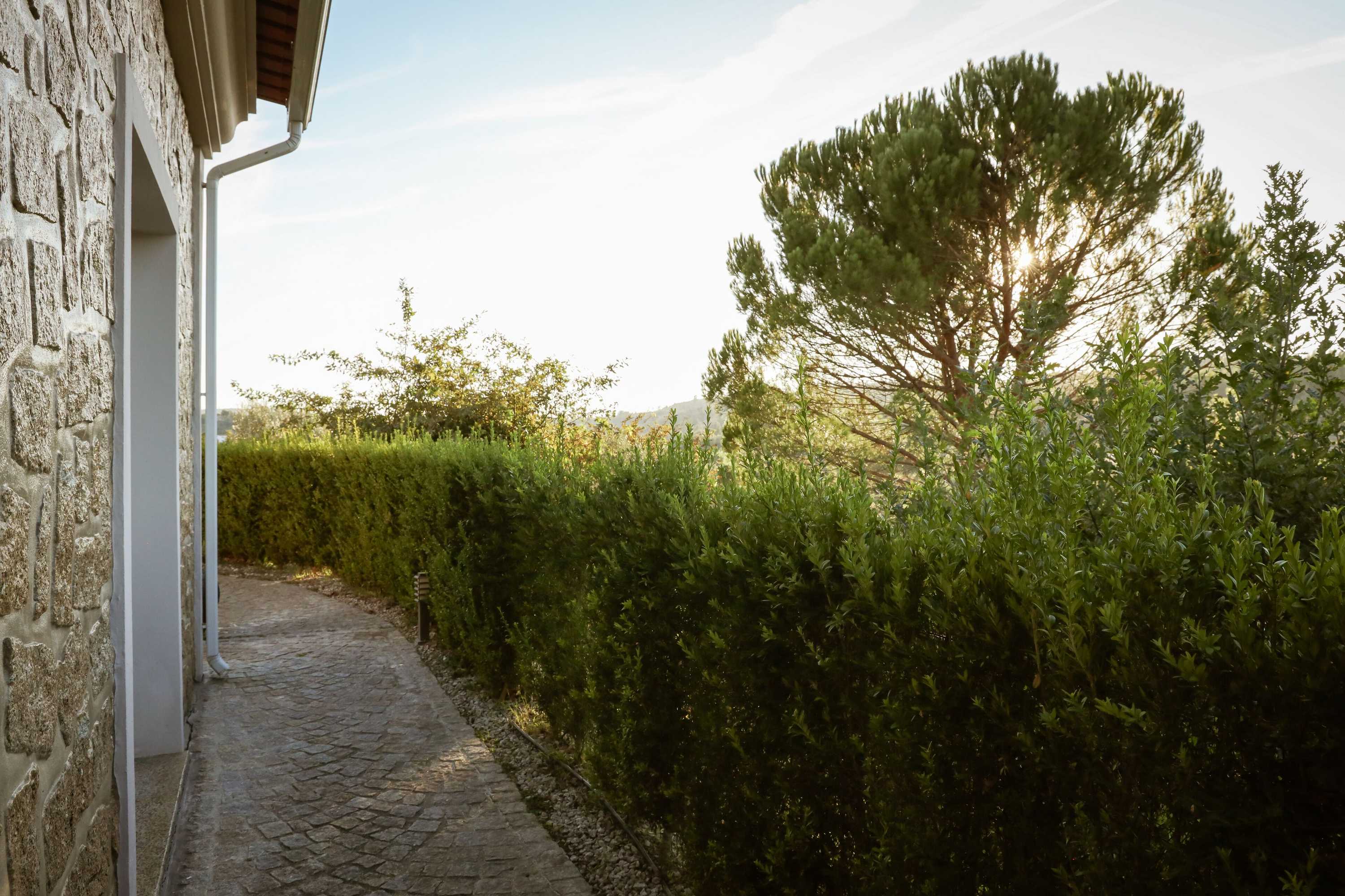 Gift card for I Love Dão - Casas Da Fraga