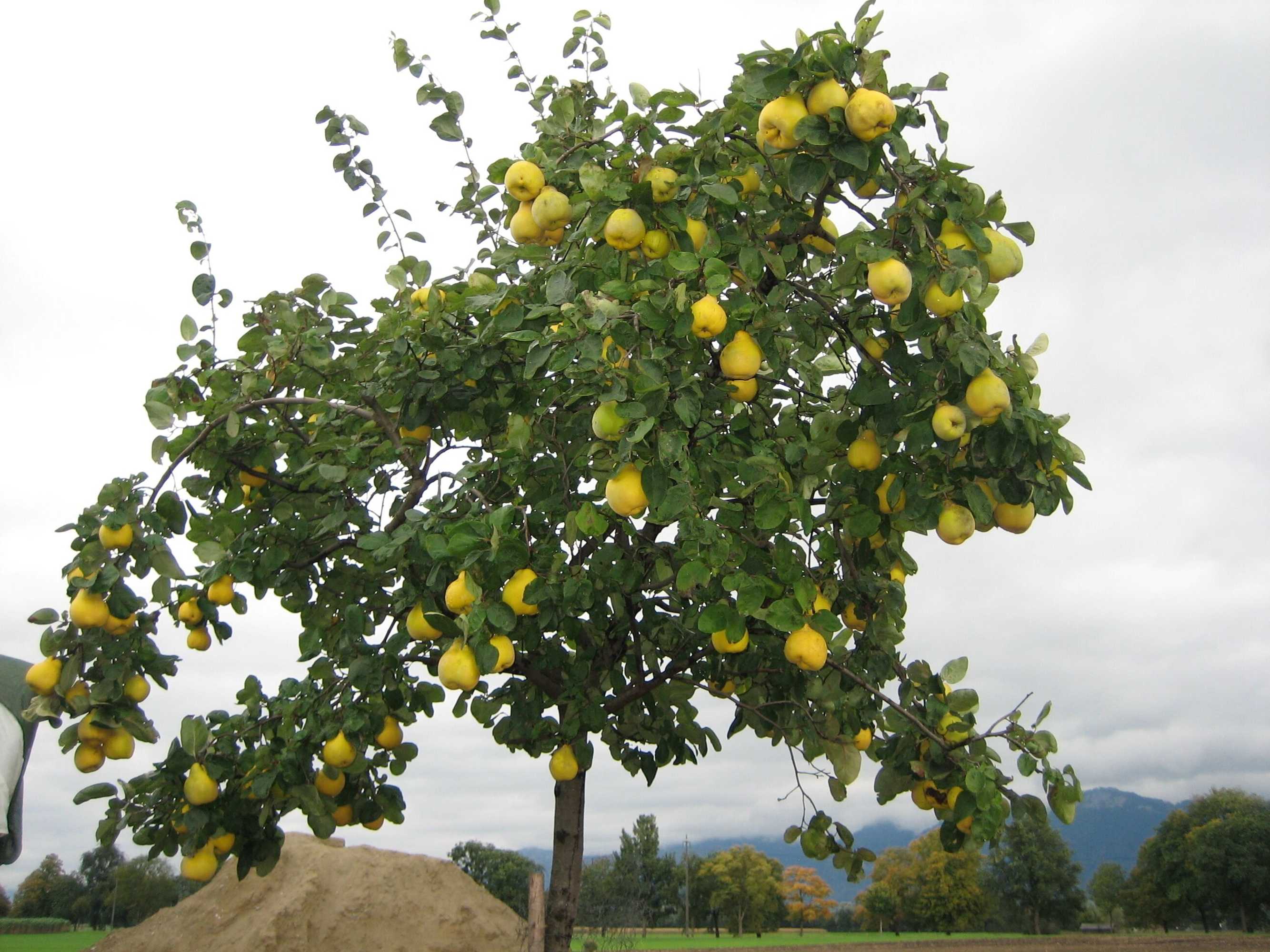 Gift card for Steigmatt Bauernhof - Erlebnis