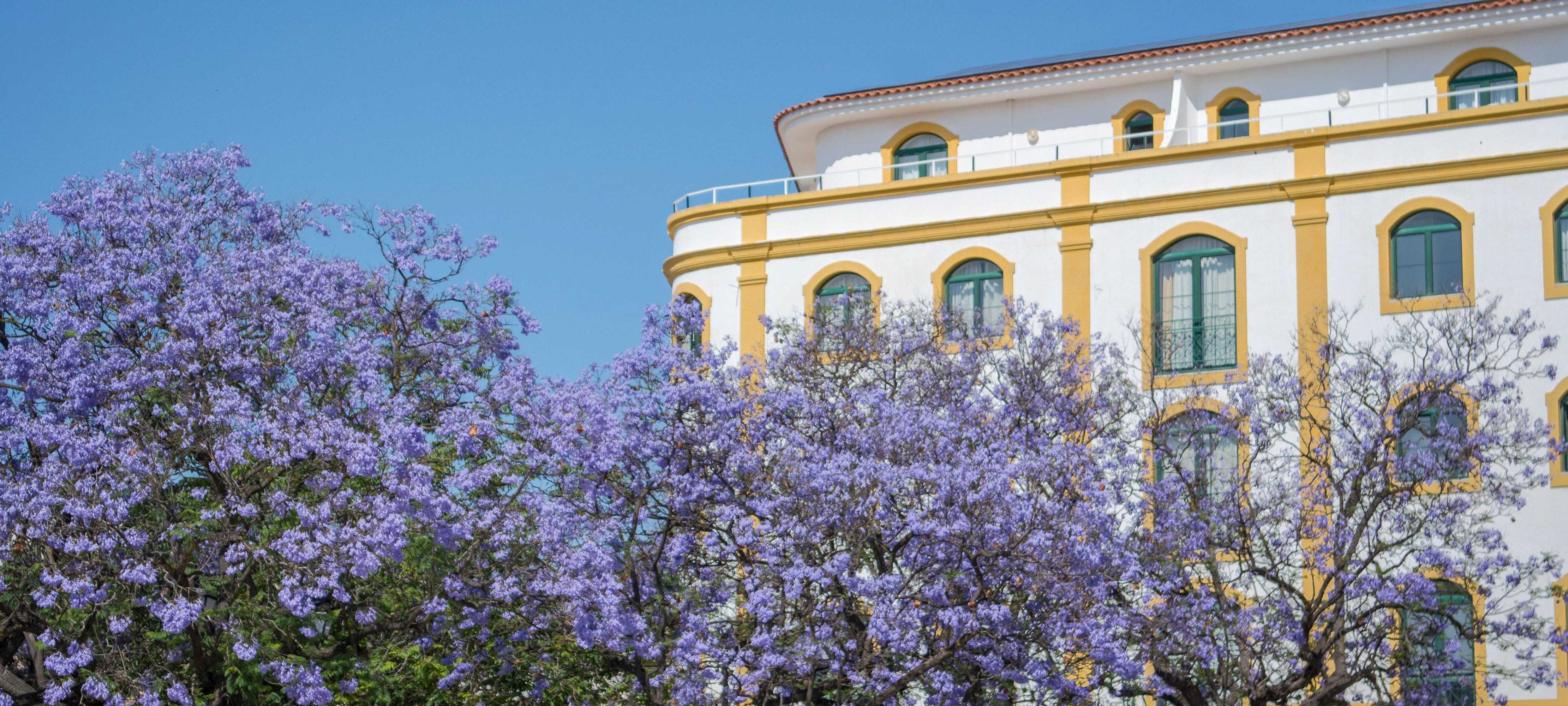 Gift card for Loule Jardim Hotel Gift card for Loule Jardim Hotel