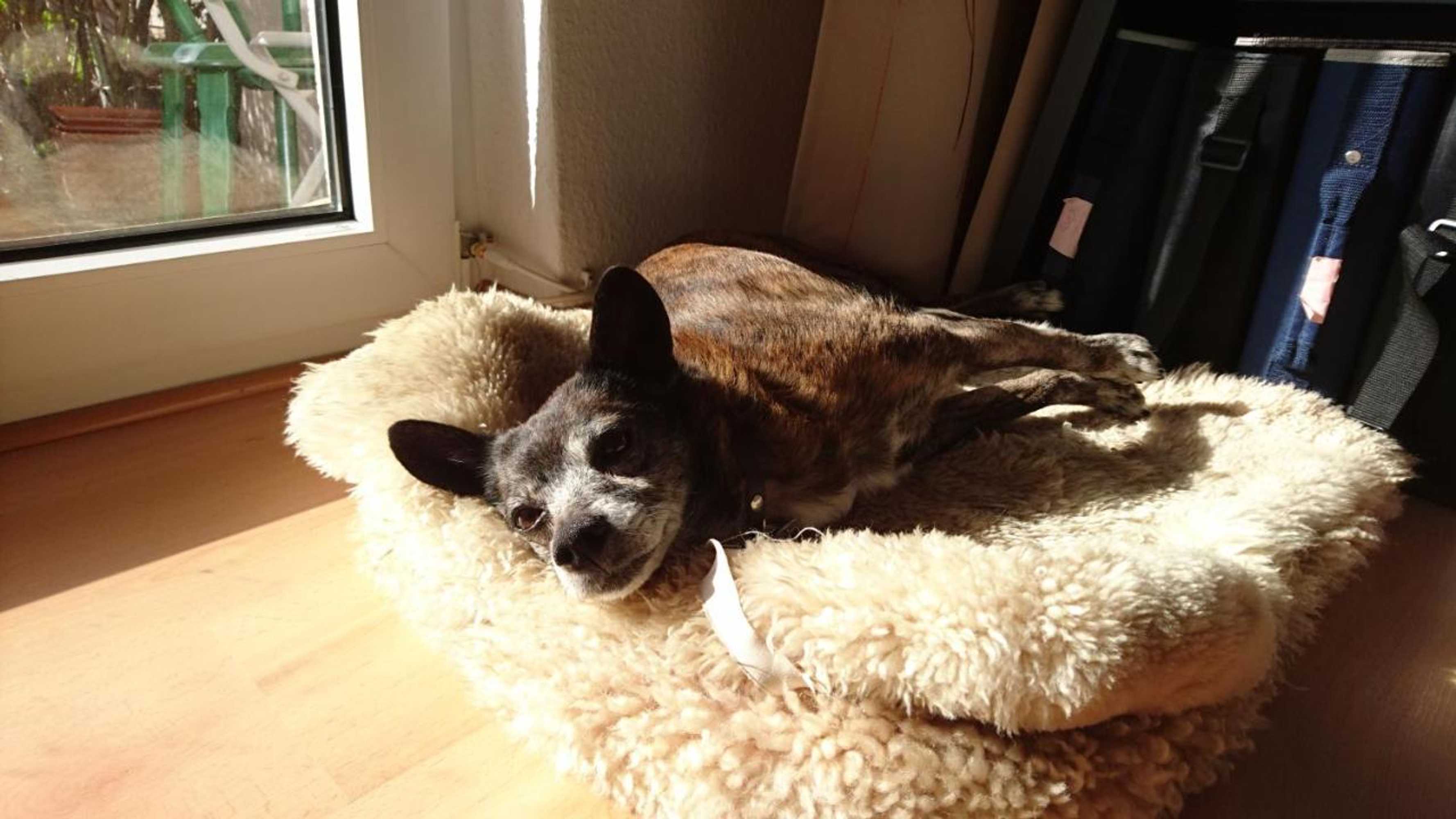 Gift card for Central Hotel Winnenden