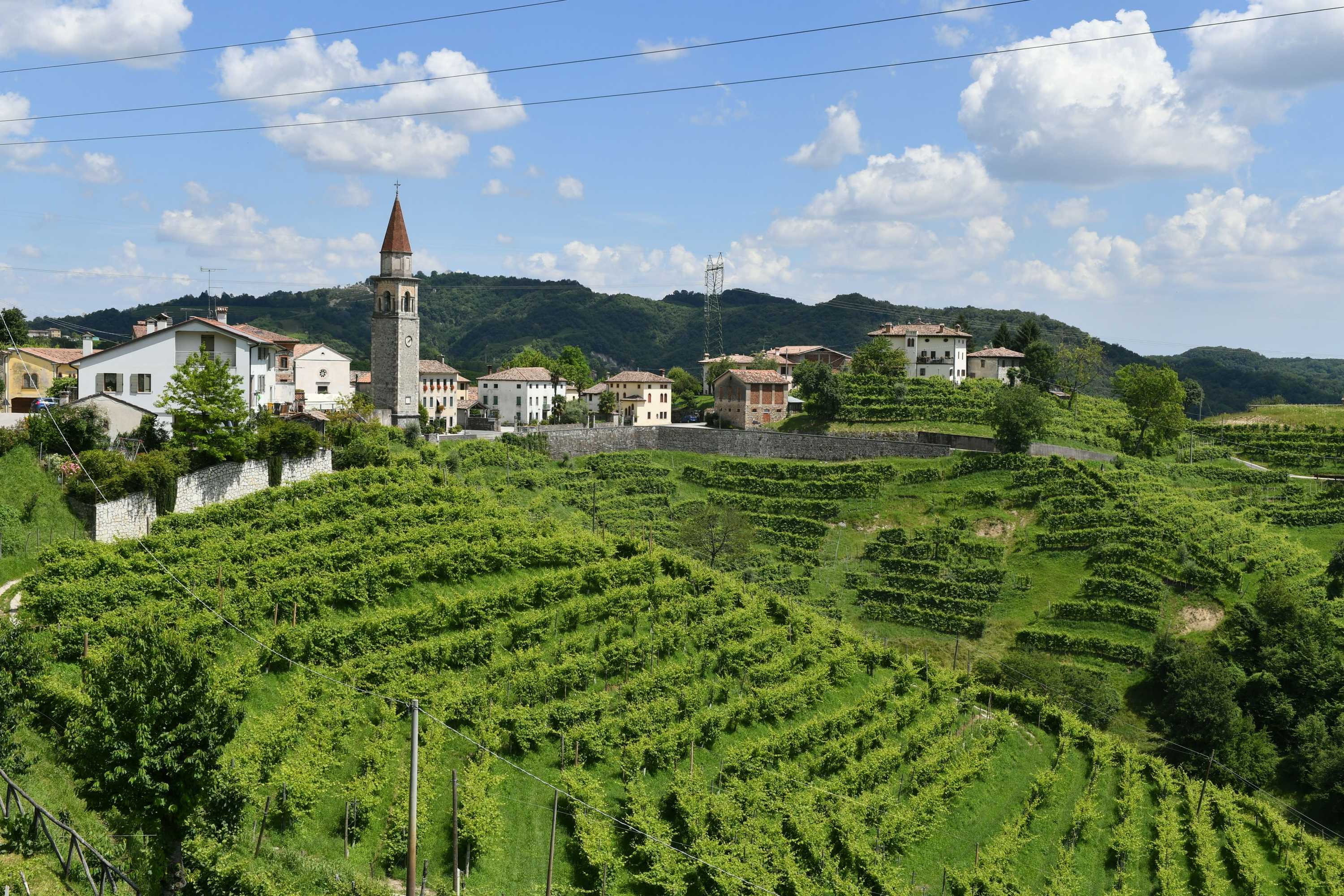Gift card for Agriturismo Crodi Gift card for Agriturismo Crodi