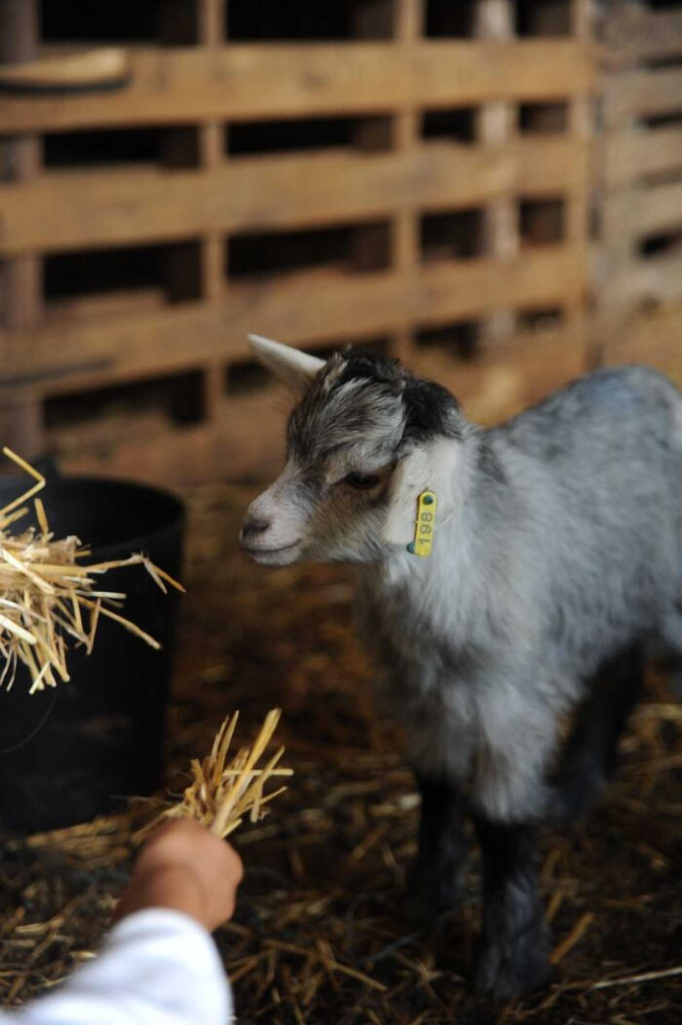 Gift card for Vumba - House of The Lizard