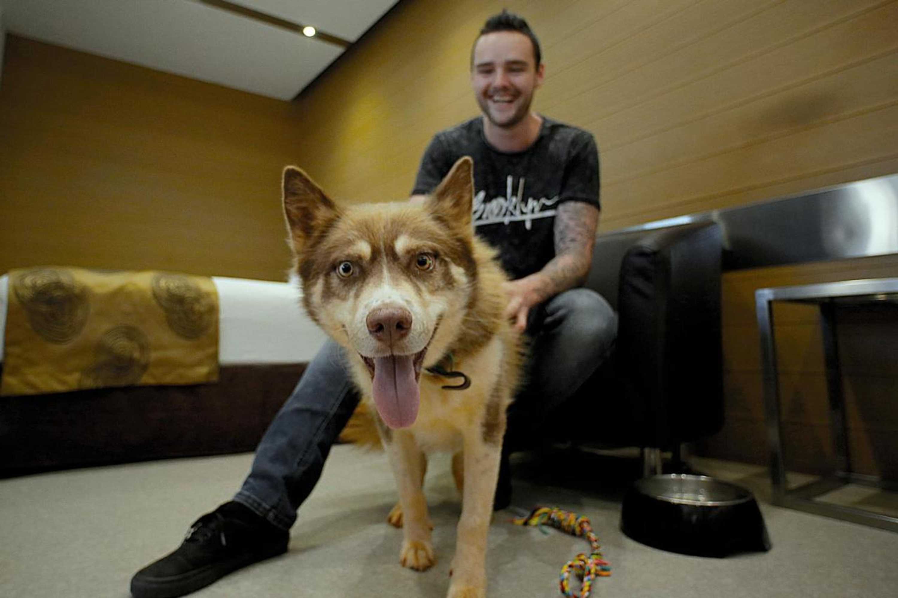 Gift card for Room Motels Gatton