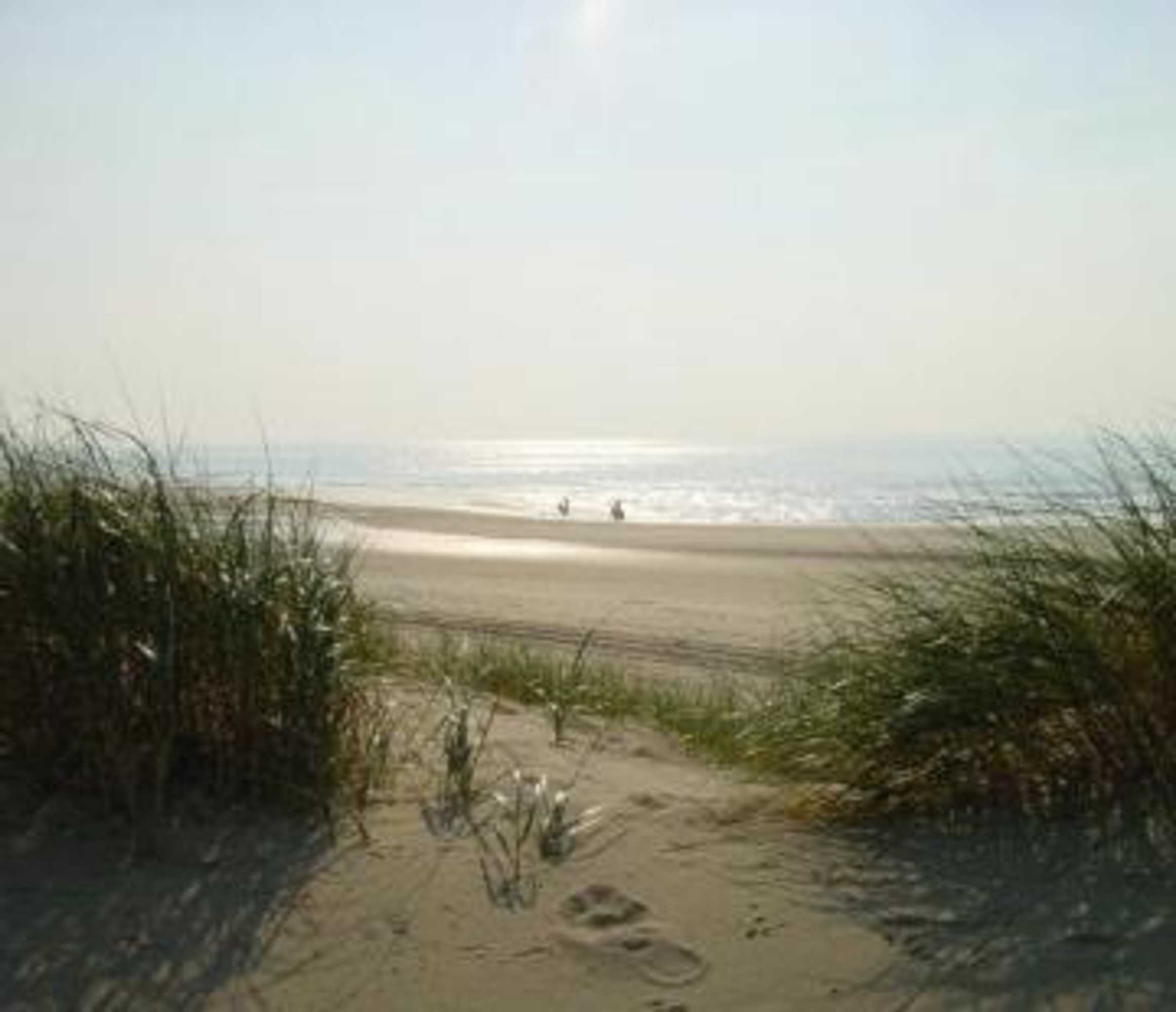 Gift card for Zonnig Zuid